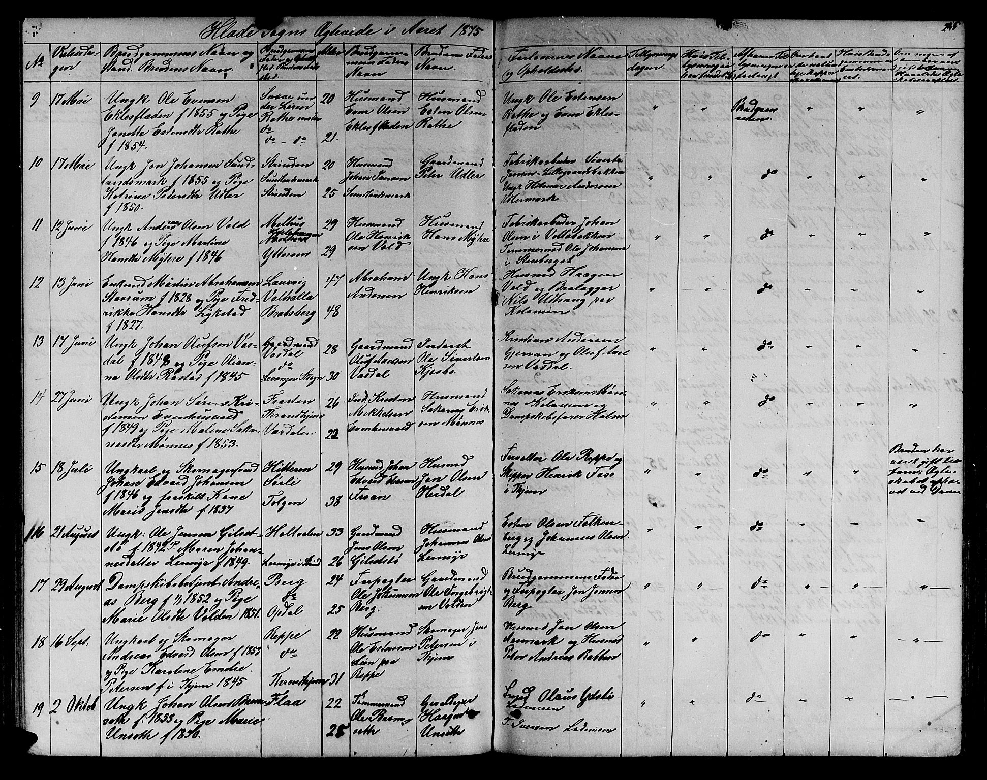 Ministerialprotokoller, klokkerbøker og fødselsregistre - Sør-Trøndelag, SAT/A-1456/606/L0311: Parish register (copy) no. 606C07, 1860-1877, p. 245
