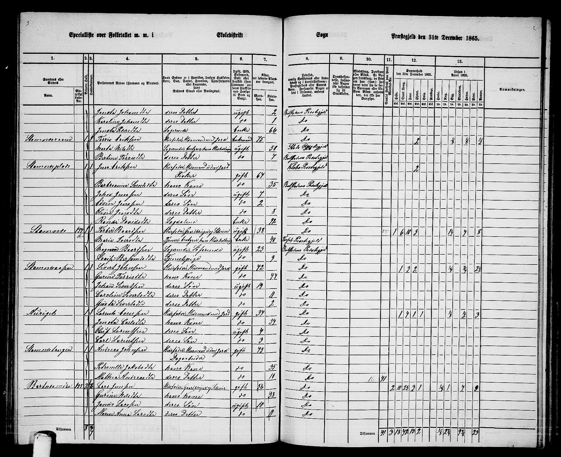 RA, 1865 census for Beitstad, 1865, p. 119