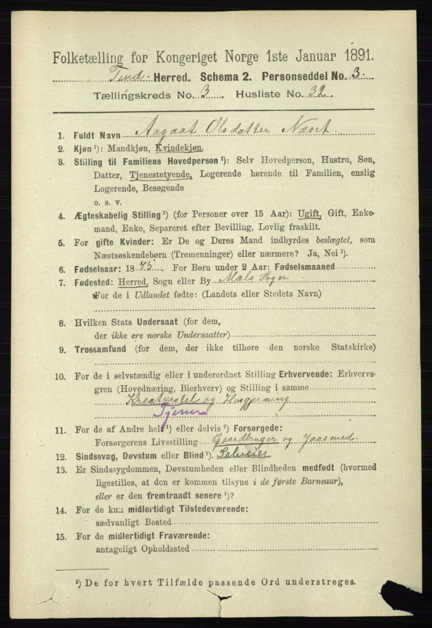 RA, 1891 census for 0826 Tinn, 1891, p. 674