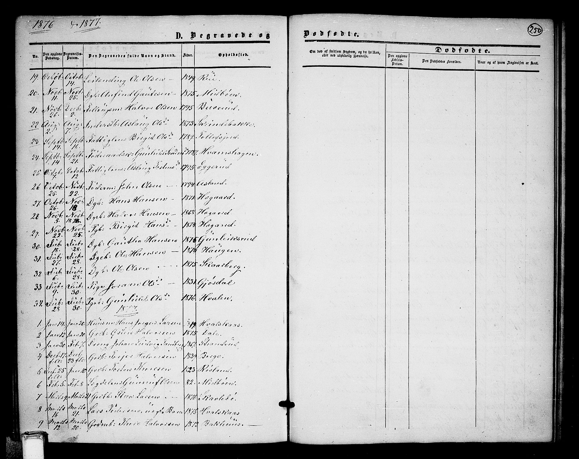 Tinn kirkebøker, SAKO/A-308/G/Ga/L0002: Parish register (copy) no. I 2, 1851-1883, p. 250