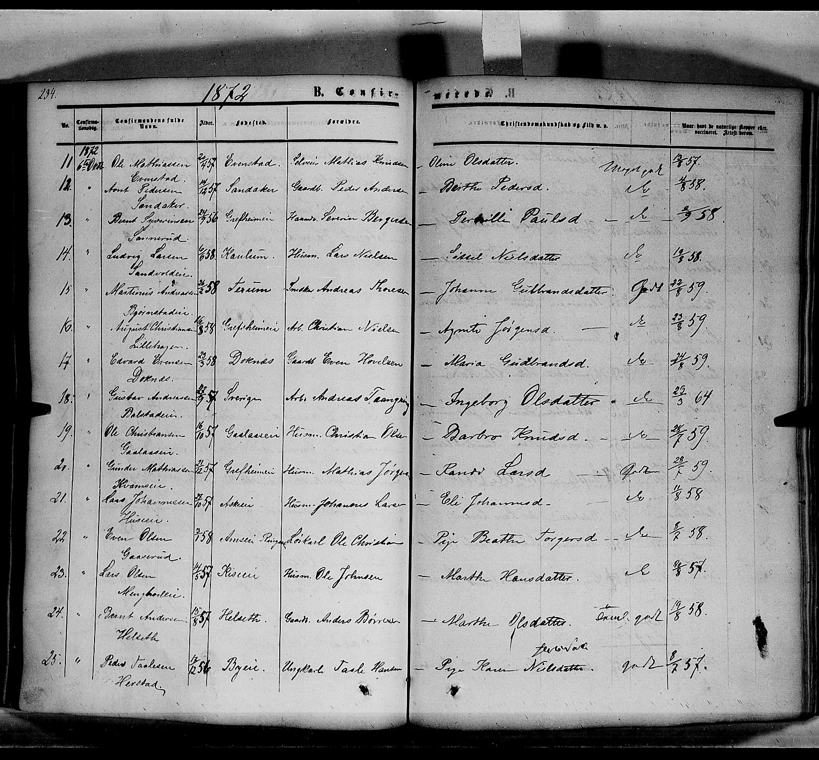 Nes prestekontor, Hedmark, SAH/PREST-020/K/Ka/L0004: Parish register (official) no. 4, 1852-1886, p. 234