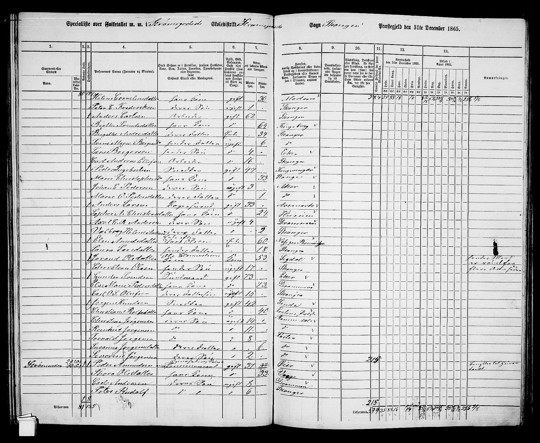 RA, 1865 census for Skoger, 1865, p. 135