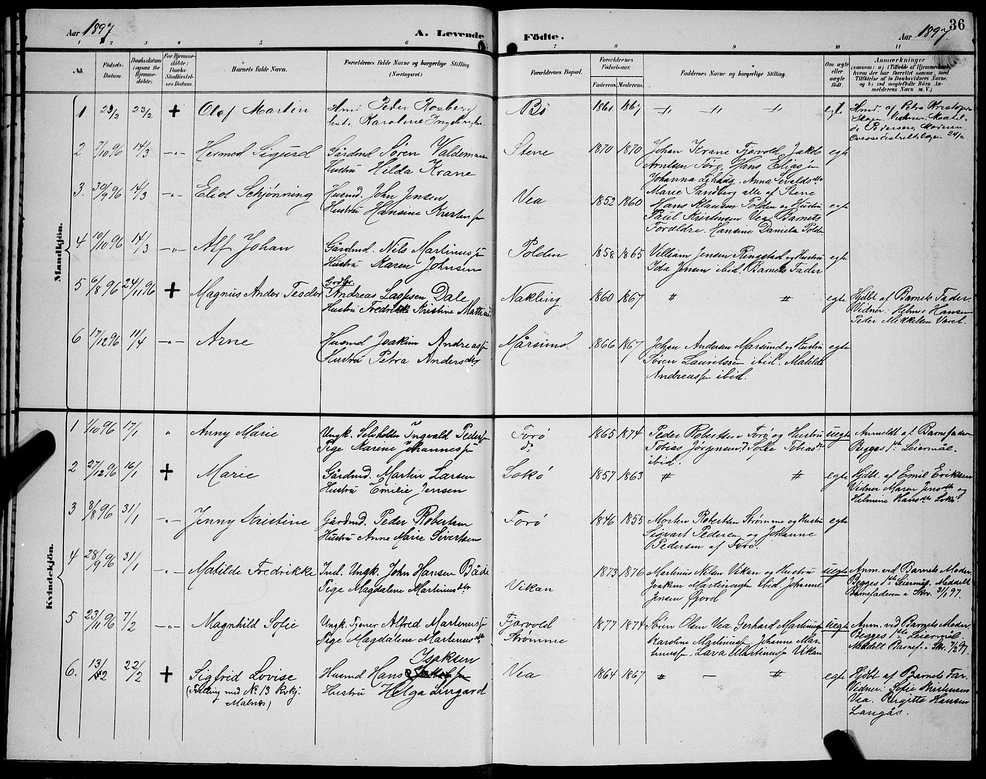 Ministerialprotokoller, klokkerbøker og fødselsregistre - Nordland, AV/SAT-A-1459/891/L1316: Parish register (copy) no. 891C05, 1894-1898, p. 36