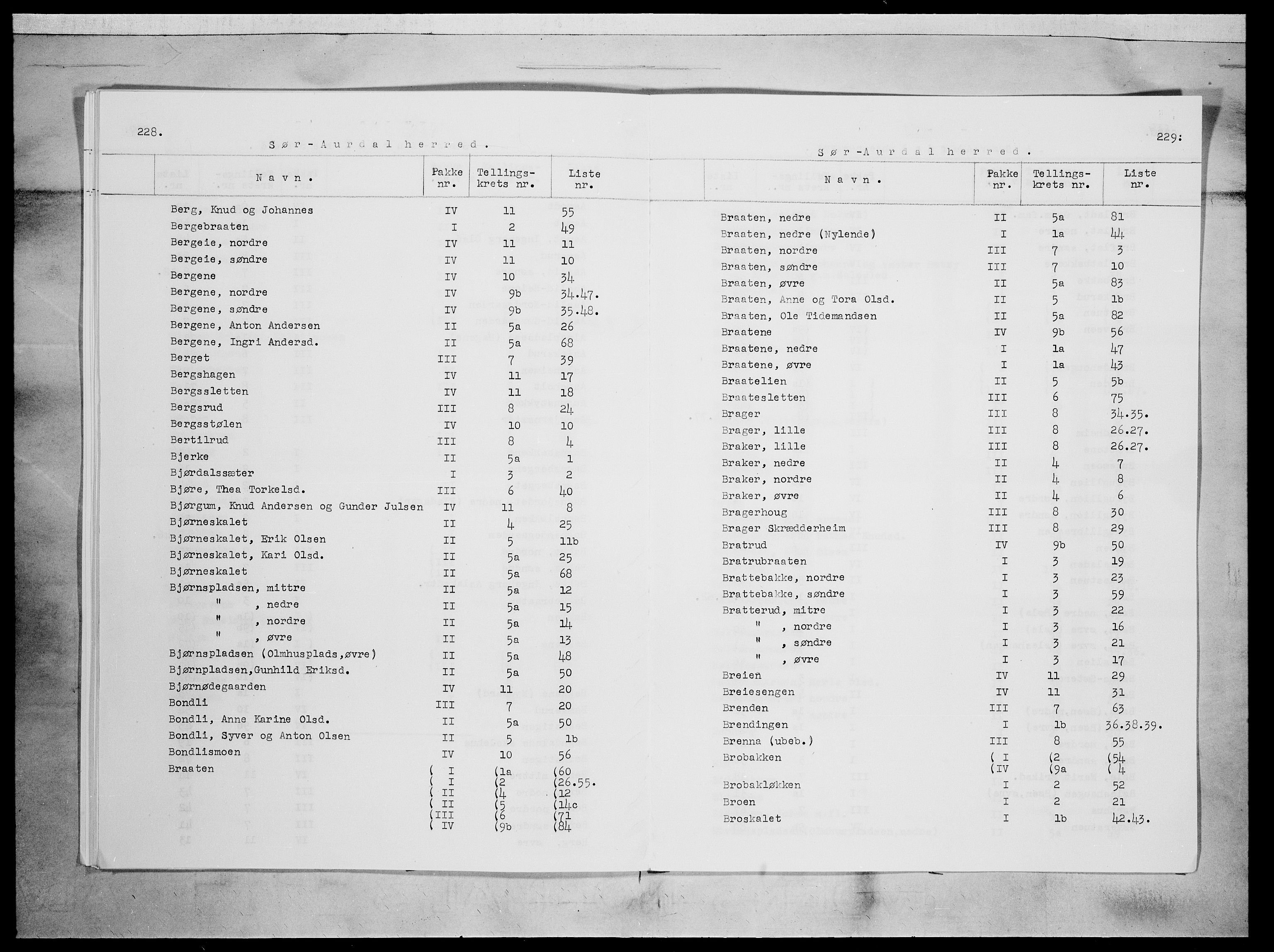 SAH, 1875 census for 0540P Sør-Aurdal, 1875, p. 2