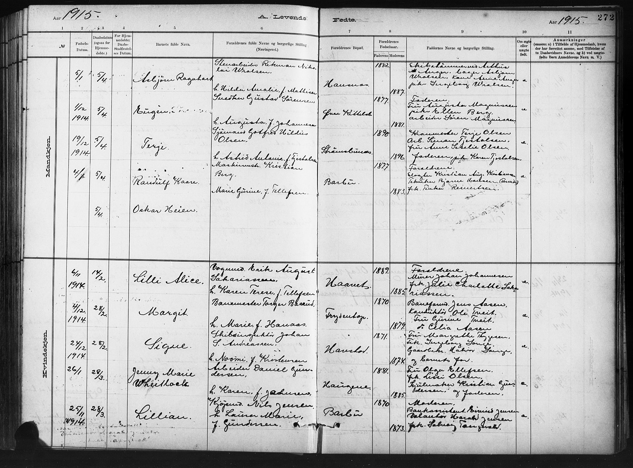 Barbu sokneprestkontor, AV/SAK-1111-0003/F/Fb/L0002: Parish register (copy) no. B 2, 1890-1922, p. 272