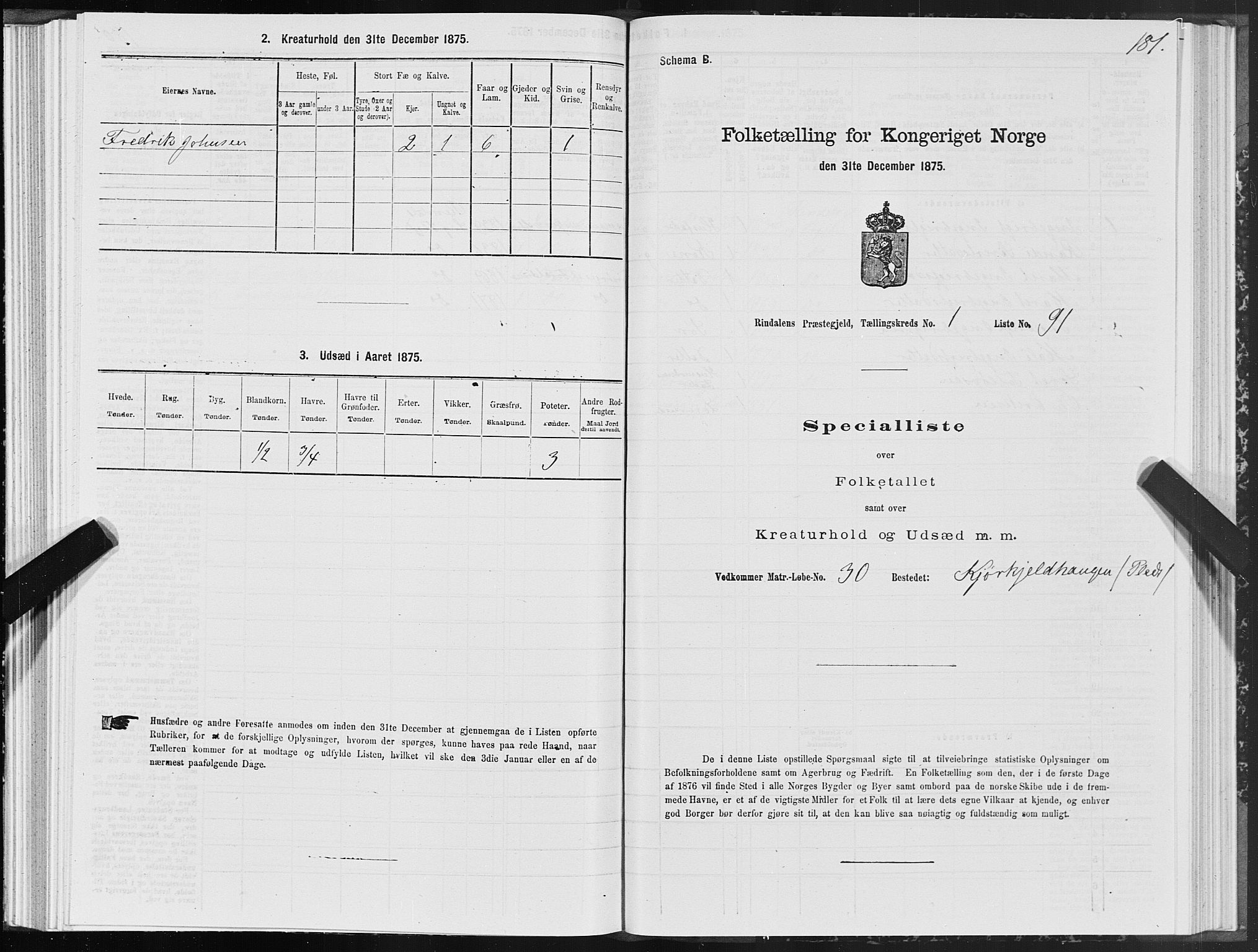 SAT, 1875 census for 1567P Rindal, 1875, p. 1181