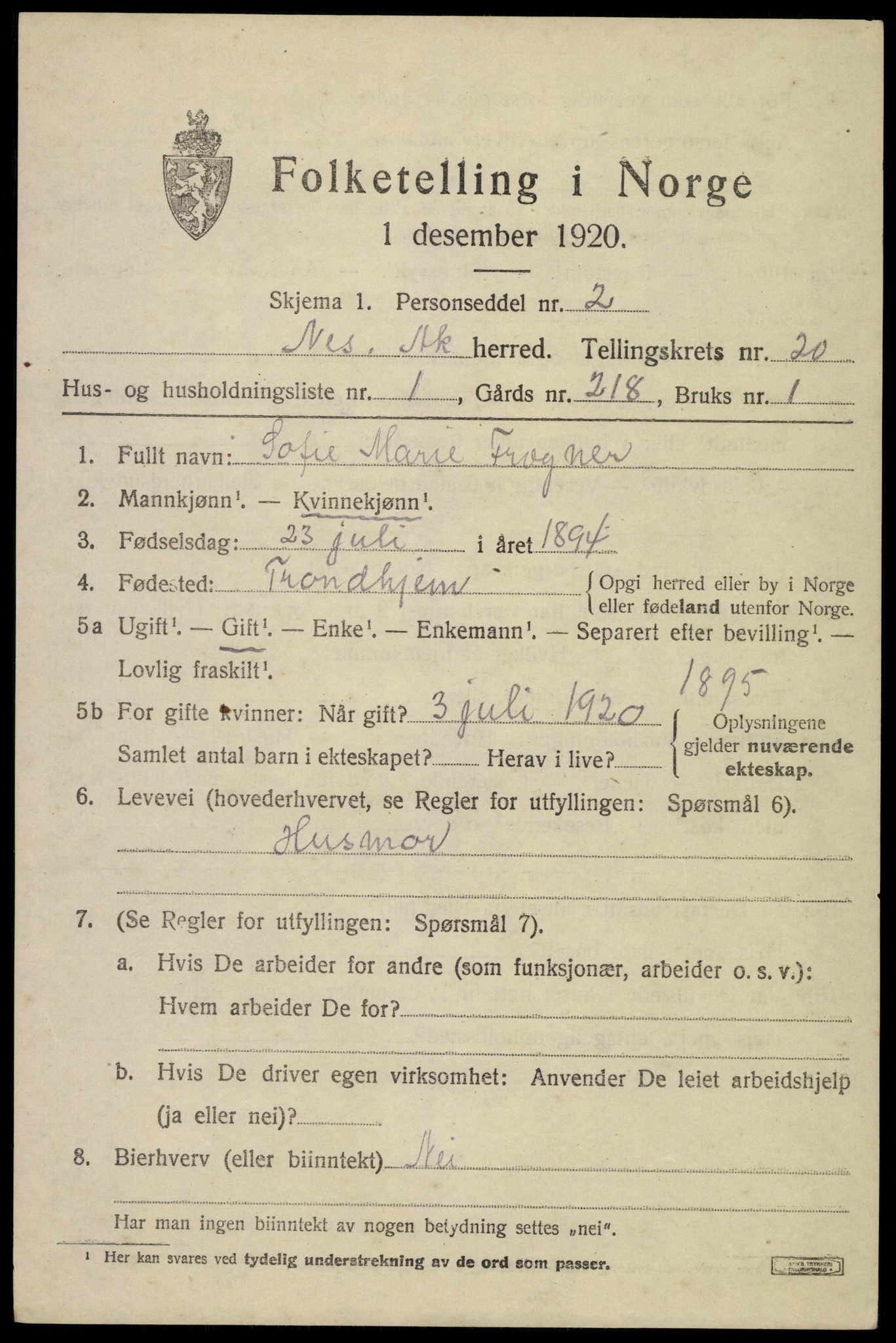 SAO, 1920 census for Nes, 1920, p. 21066