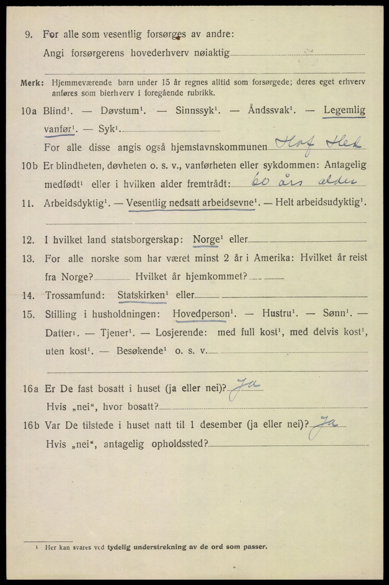 SAH, 1920 census for Hof, 1920, p. 2908