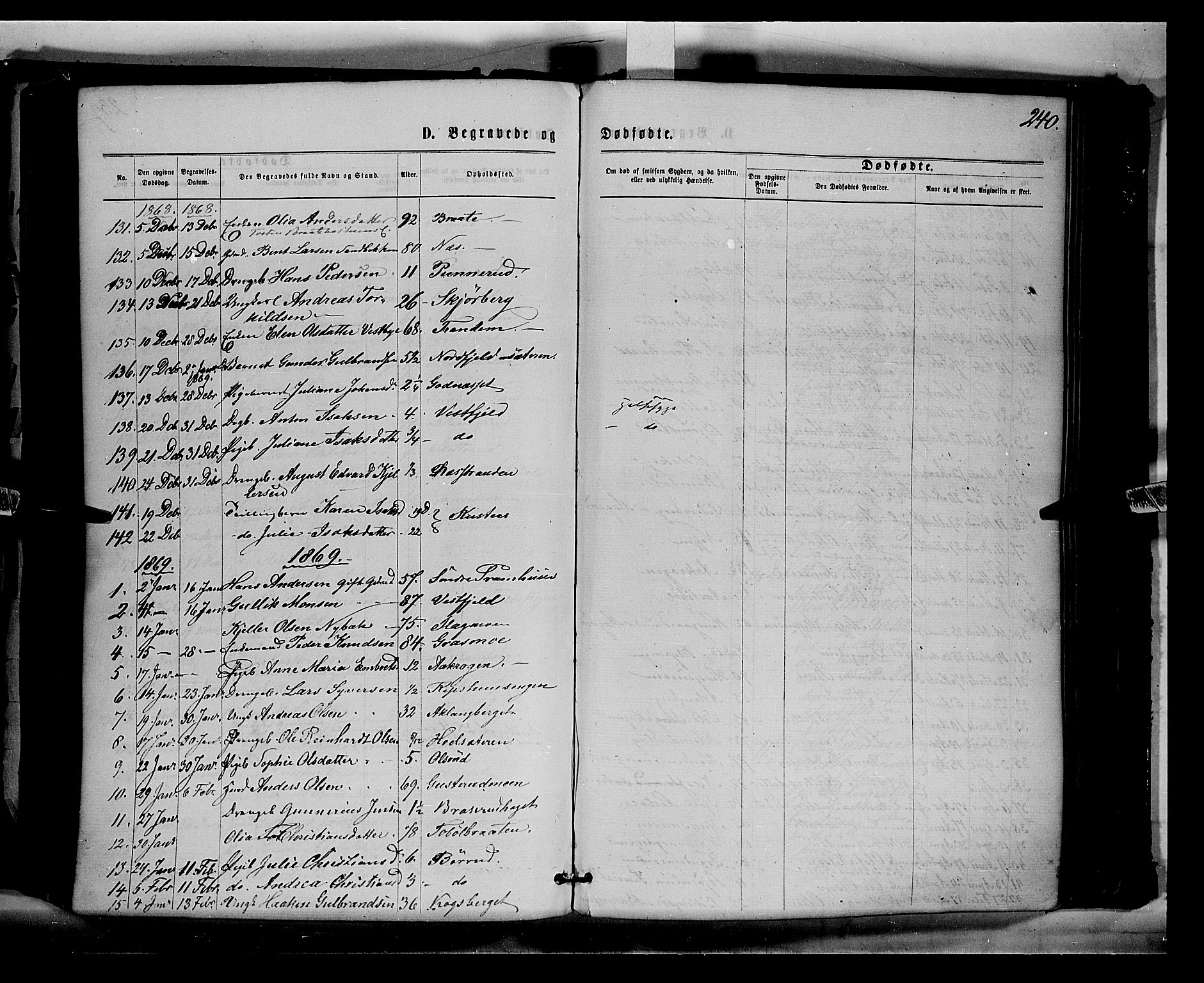 Eidskog prestekontor, AV/SAH-PREST-026/H/Ha/Haa/L0002: Parish register (official) no. 2, 1867-1878, p. 240