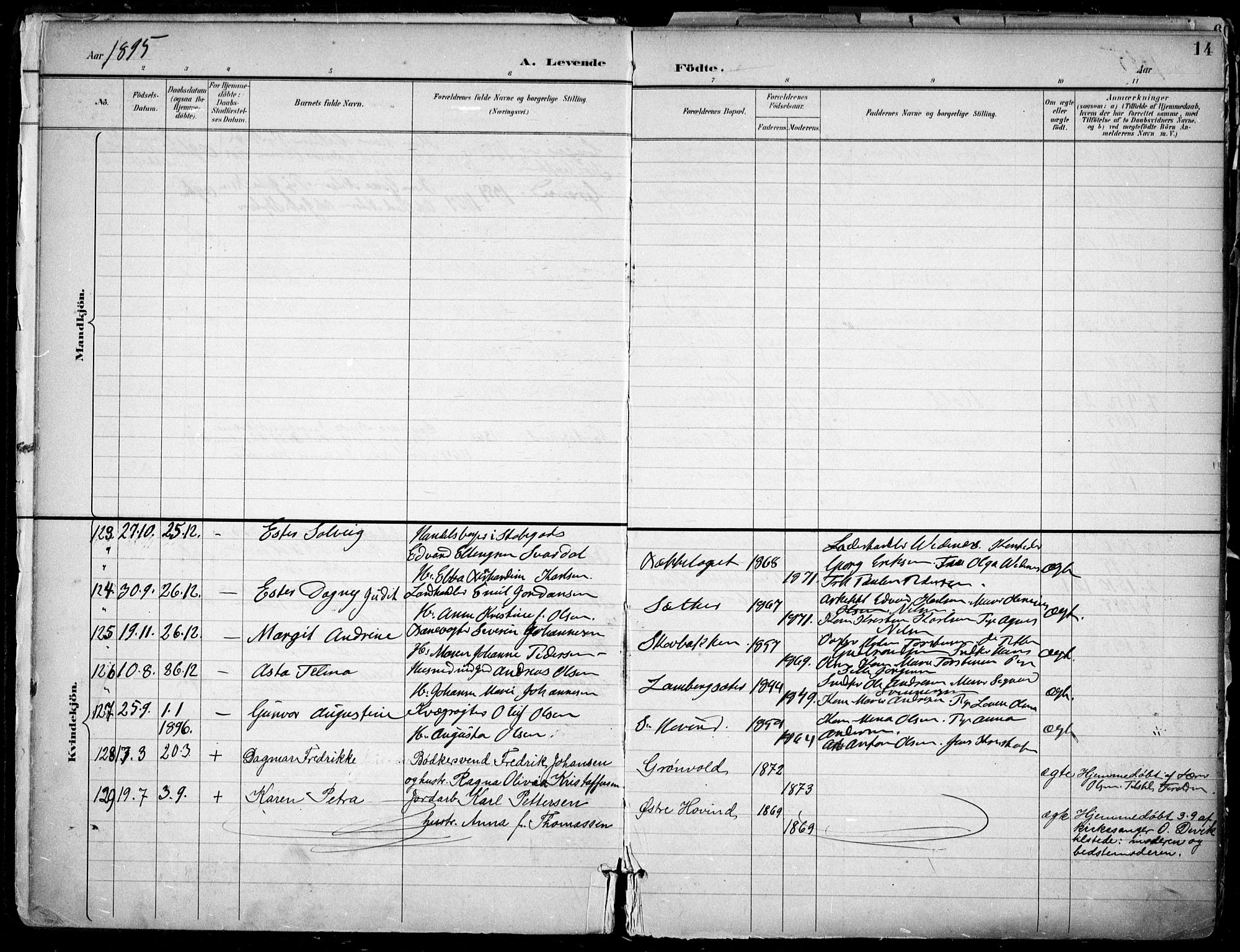 Østre Aker prestekontor Kirkebøker, AV/SAO-A-10840/F/Fa/L0010: Parish register (official) no. I 10, 1895-1912, p. 14