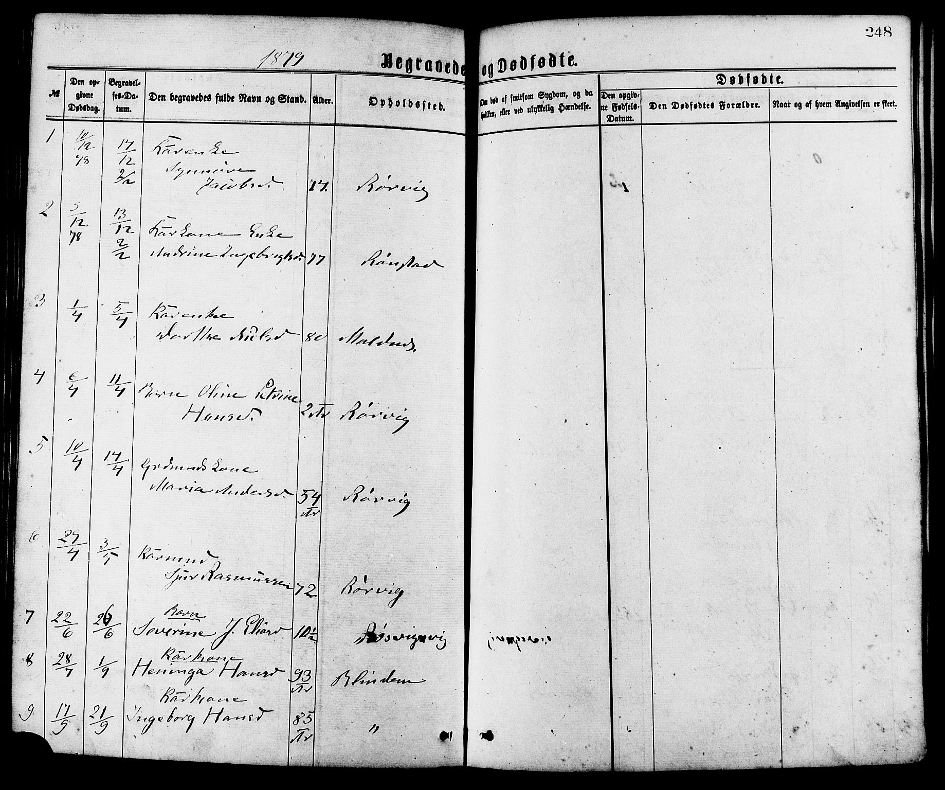 Ministerialprotokoller, klokkerbøker og fødselsregistre - Møre og Romsdal, AV/SAT-A-1454/537/L0519: Parish register (official) no. 537A03, 1876-1889, p. 248