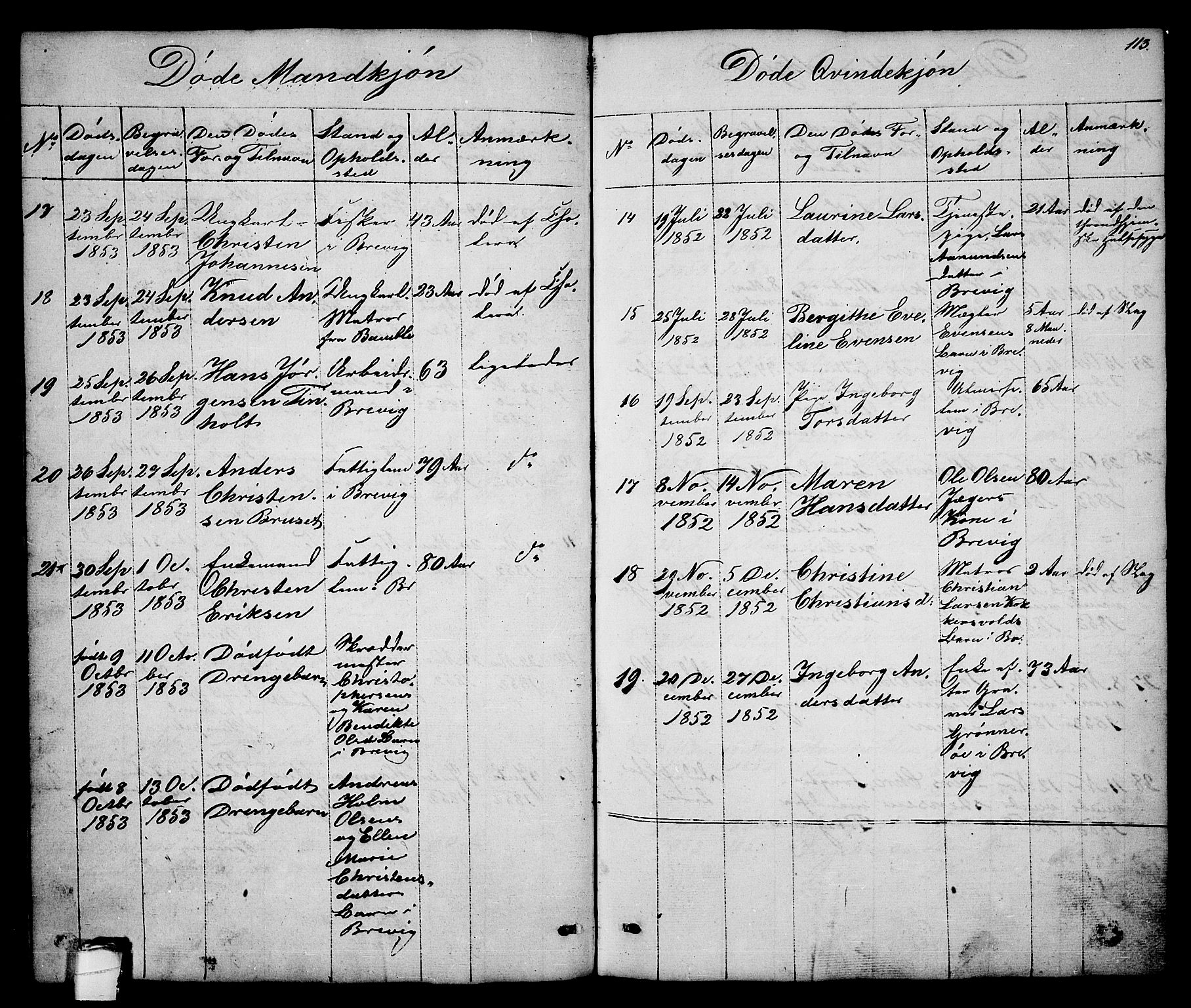 Brevik kirkebøker, SAKO/A-255/G/Ga/L0002: Parish register (copy) no. 2, 1846-1865, p. 113