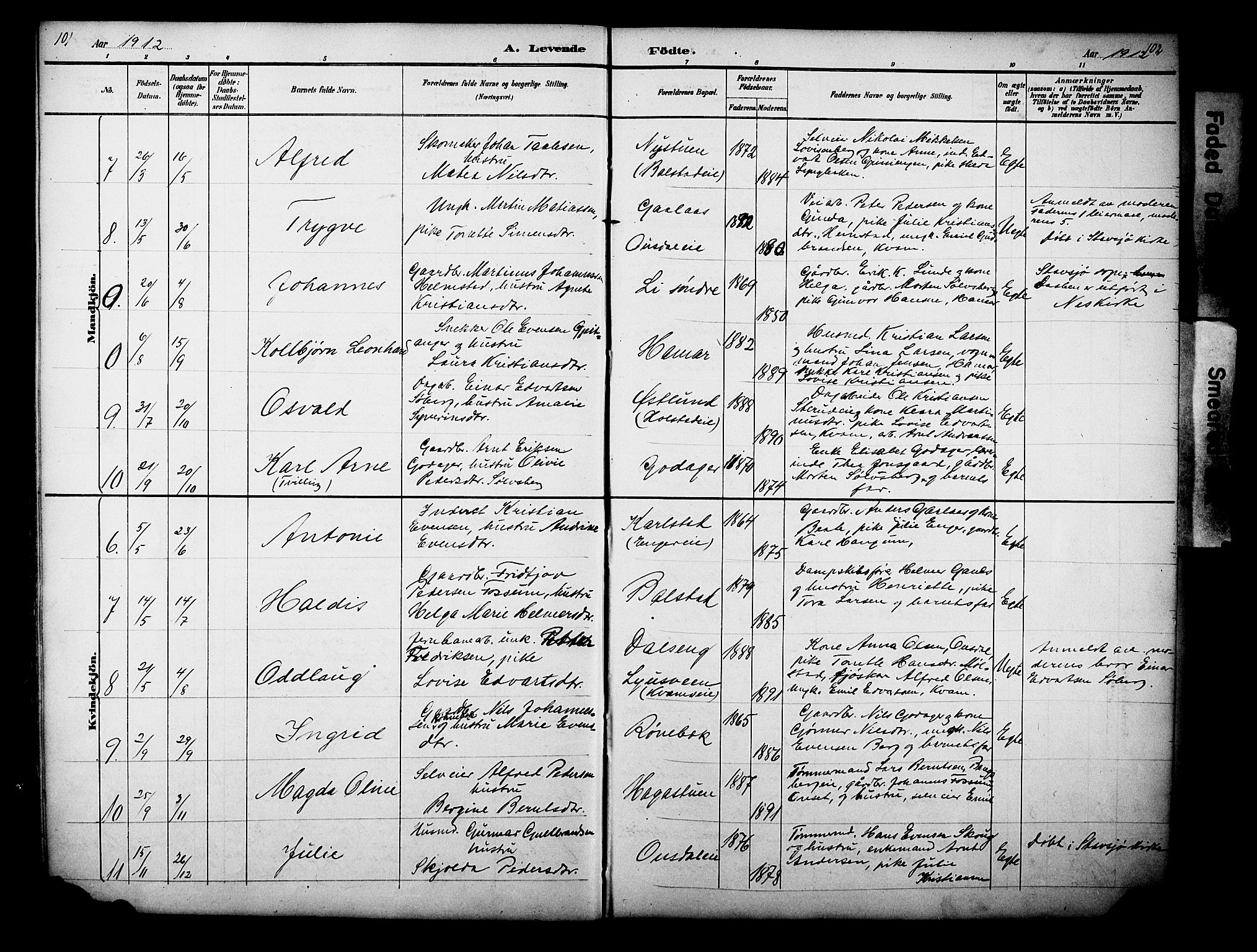 Nes prestekontor, Hedmark, AV/SAH-PREST-020/L/La/L0006: Parish register (copy) no. 6, 1890-1932, p. 101-102