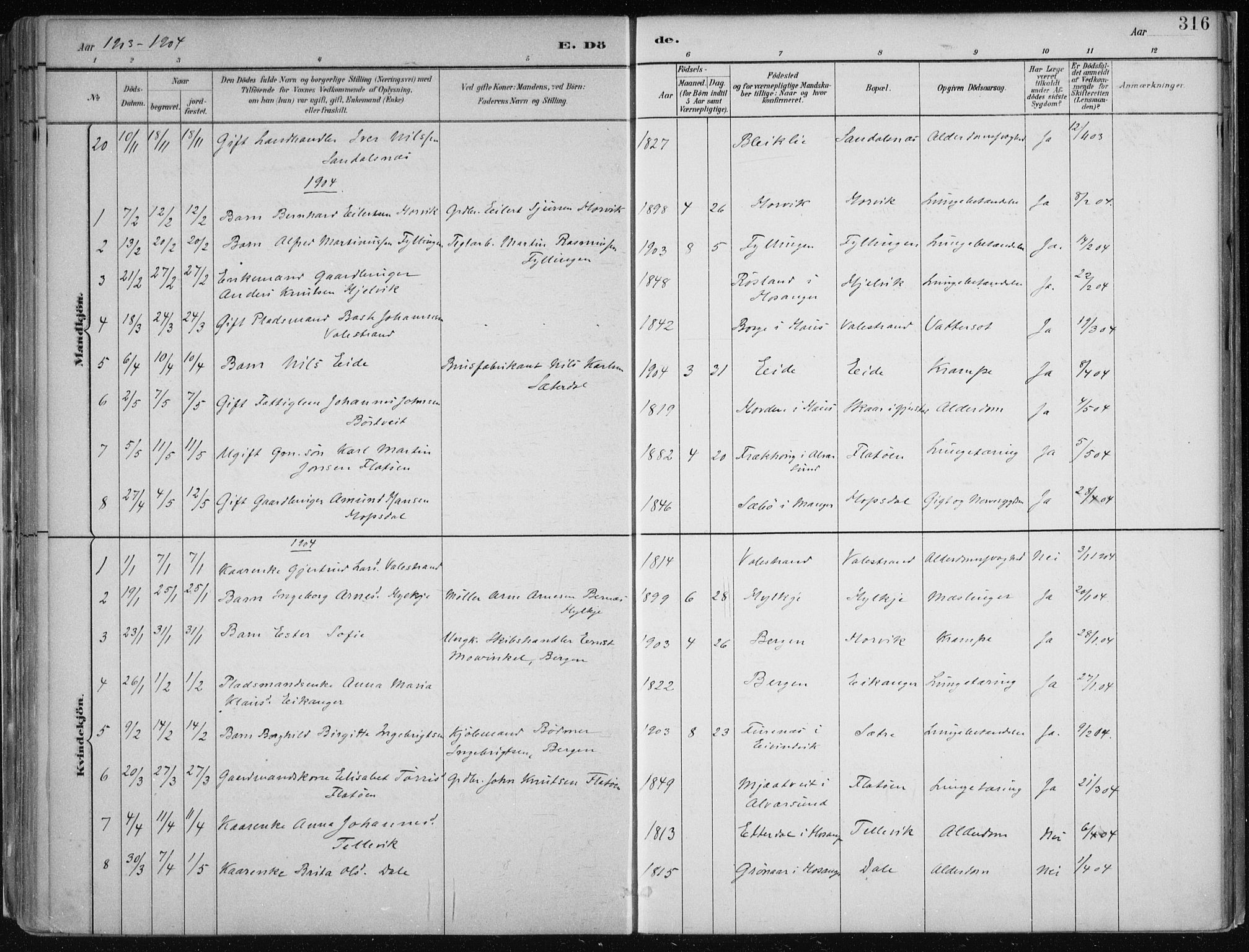 Hamre sokneprestembete, SAB/A-75501/H/Ha/Haa/Haab/L0001: Parish register (official) no. B  1, 1882-1905, p. 316