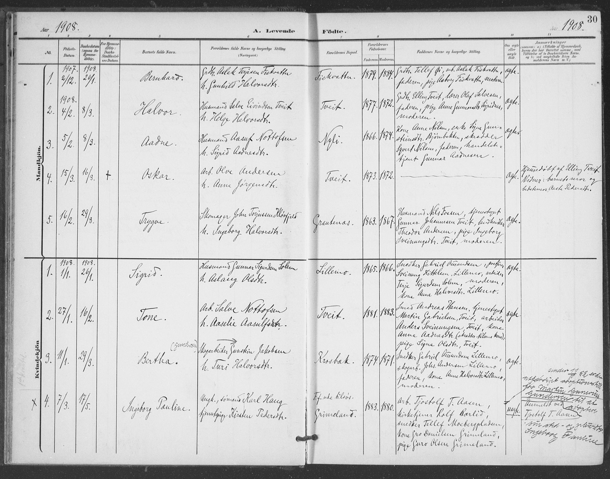 Åmli sokneprestkontor, AV/SAK-1111-0050/F/Fa/Fac/L0012: Parish register (official) no. A 12, 1900-1914, p. 30