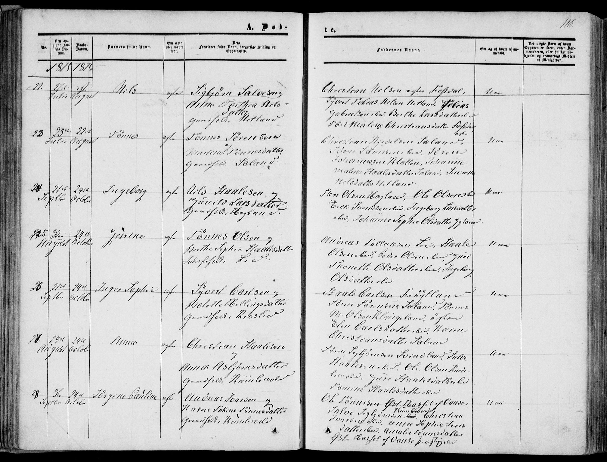 Bakke sokneprestkontor, AV/SAK-1111-0002/F/Fa/Fab/L0002: Parish register (official) no. A 2, 1855-1884, p. 116