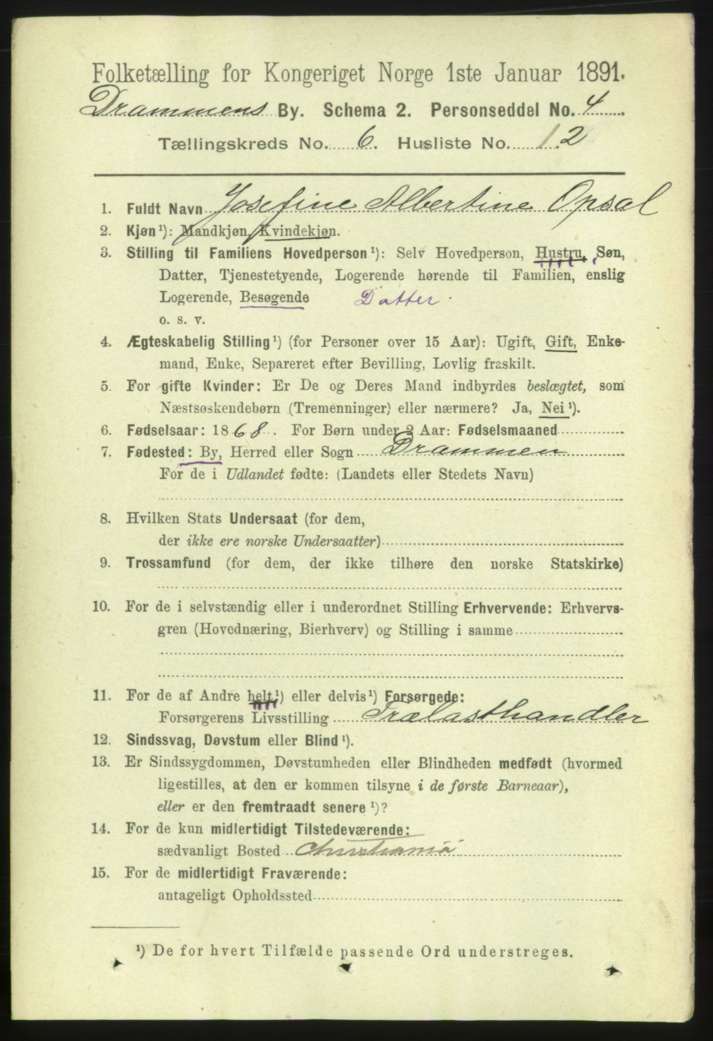 RA, 1891 census for 0602 Drammen, 1891, p. 6219