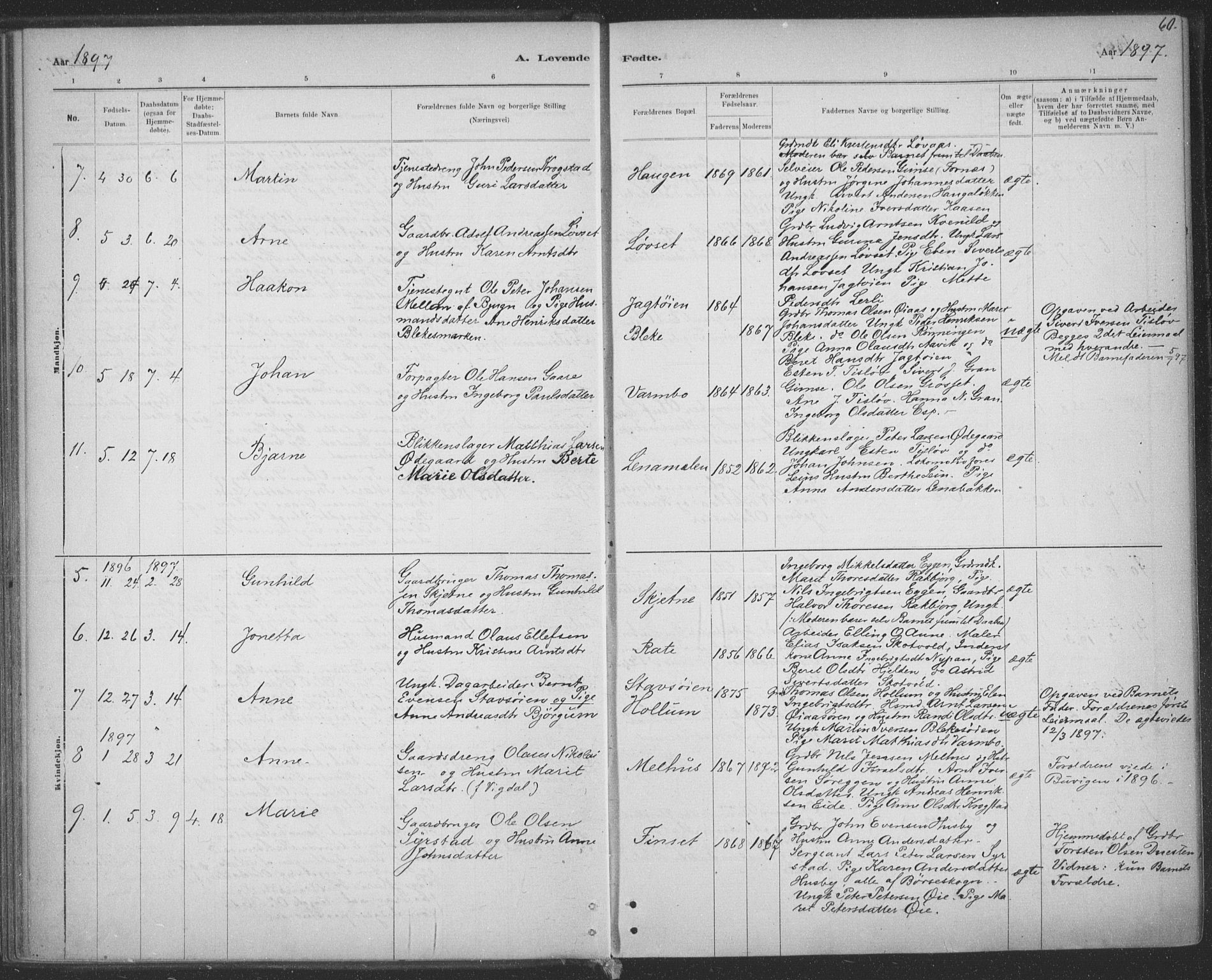 Ministerialprotokoller, klokkerbøker og fødselsregistre - Sør-Trøndelag, AV/SAT-A-1456/691/L1085: Parish register (official) no. 691A17, 1887-1908, p. 60