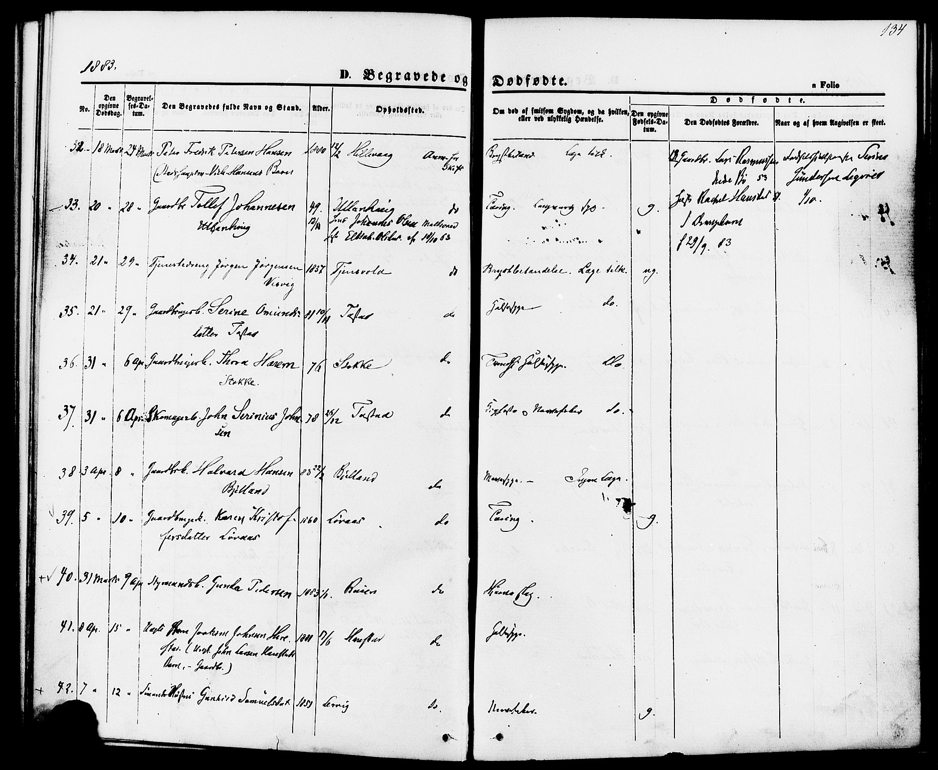 Hetland sokneprestkontor, AV/SAST-A-101826/30/30BA/L0006: Parish register (official) no. A 6, 1869-1884, p. 134