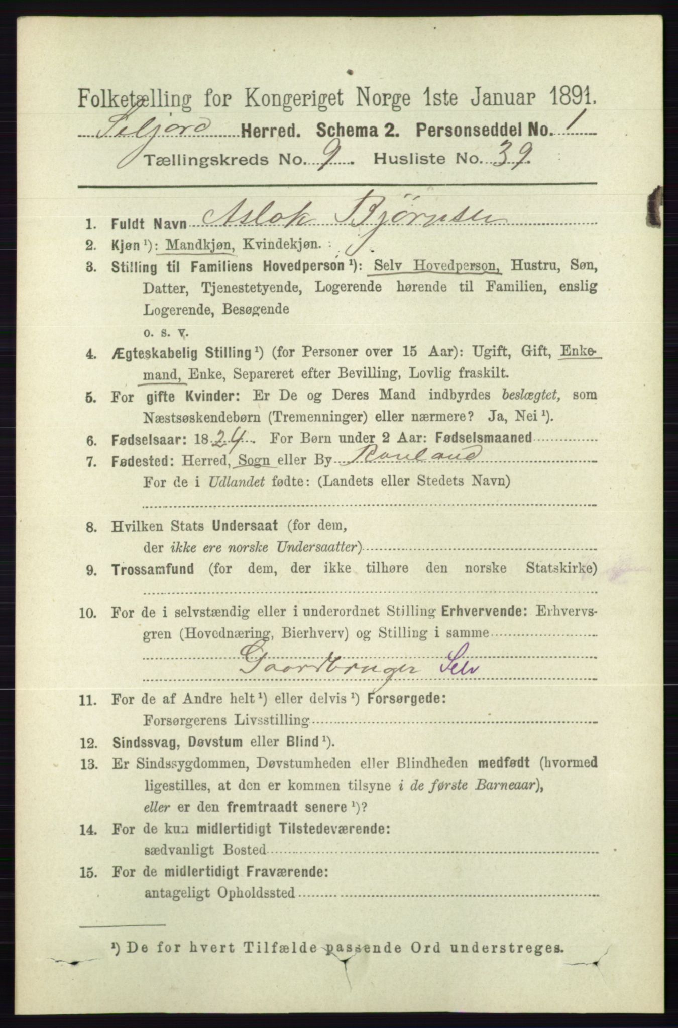 RA, 1891 census for 0828 Seljord, 1891, p. 3382