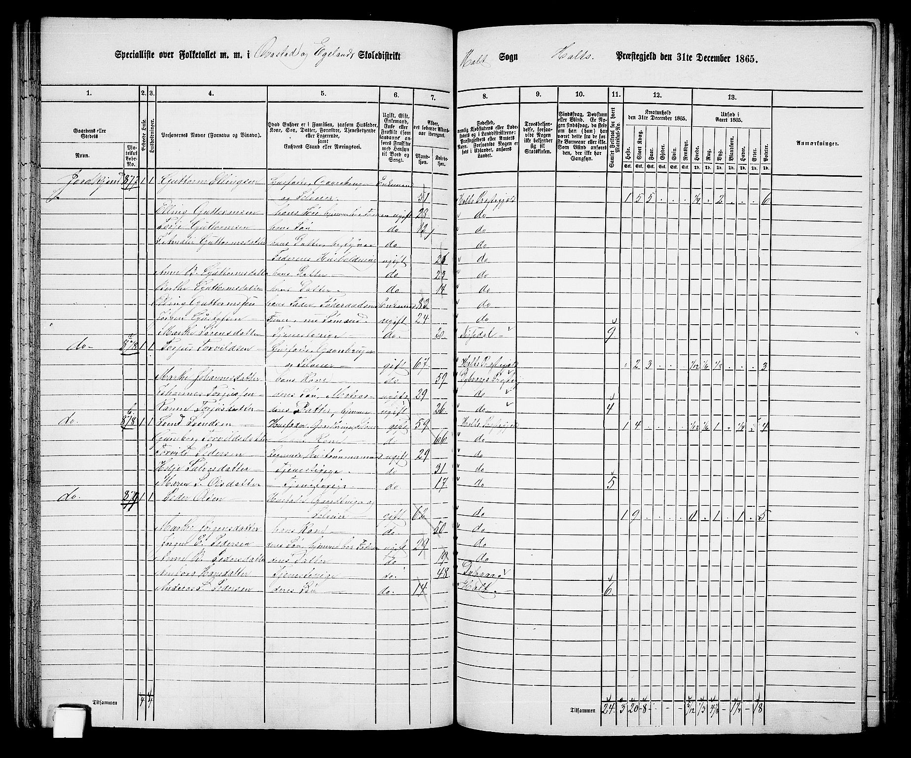 RA, 1865 census for Holt/Holt, 1865, p. 62