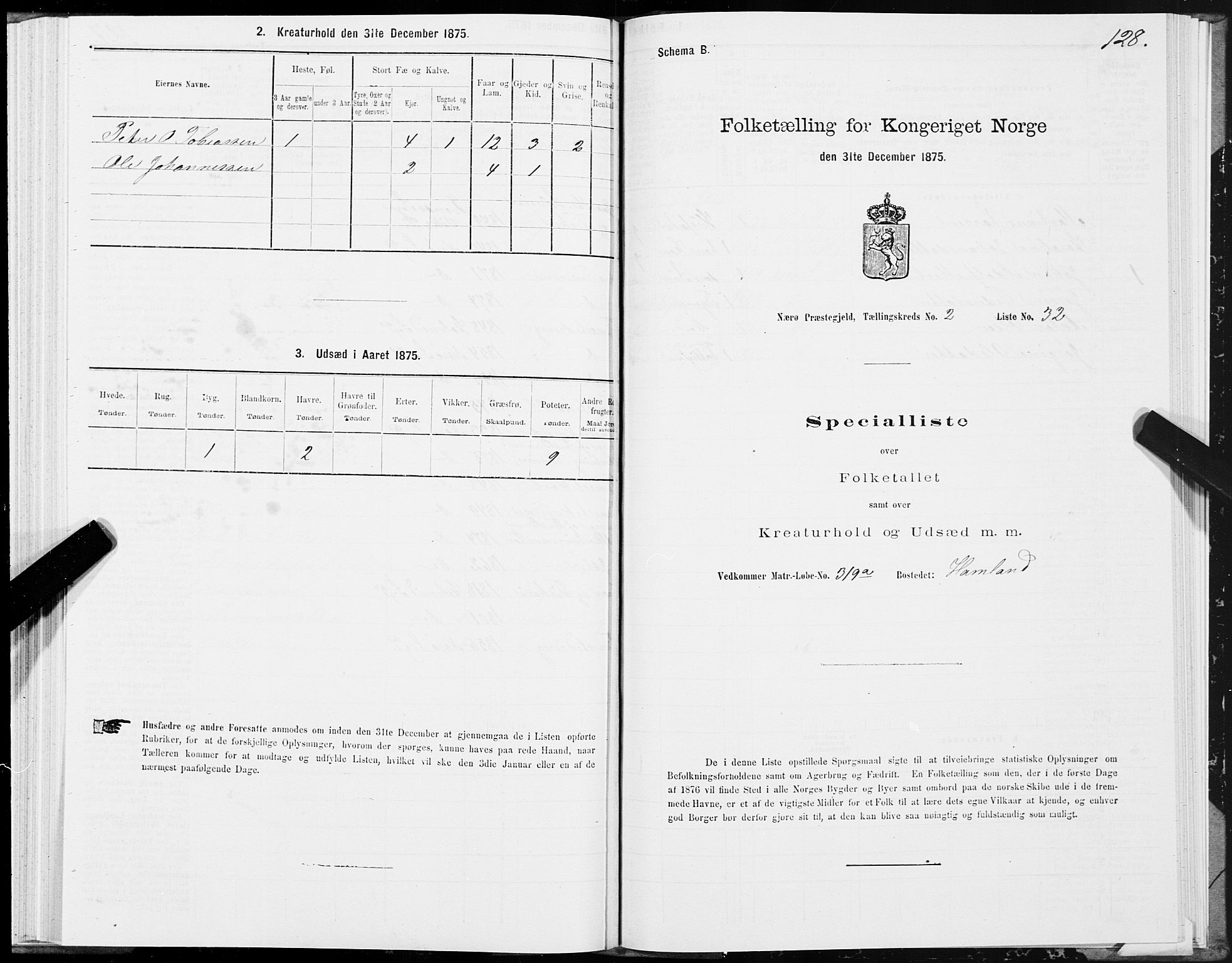 SAT, 1875 census for 1751P Nærøy, 1875, p. 1128