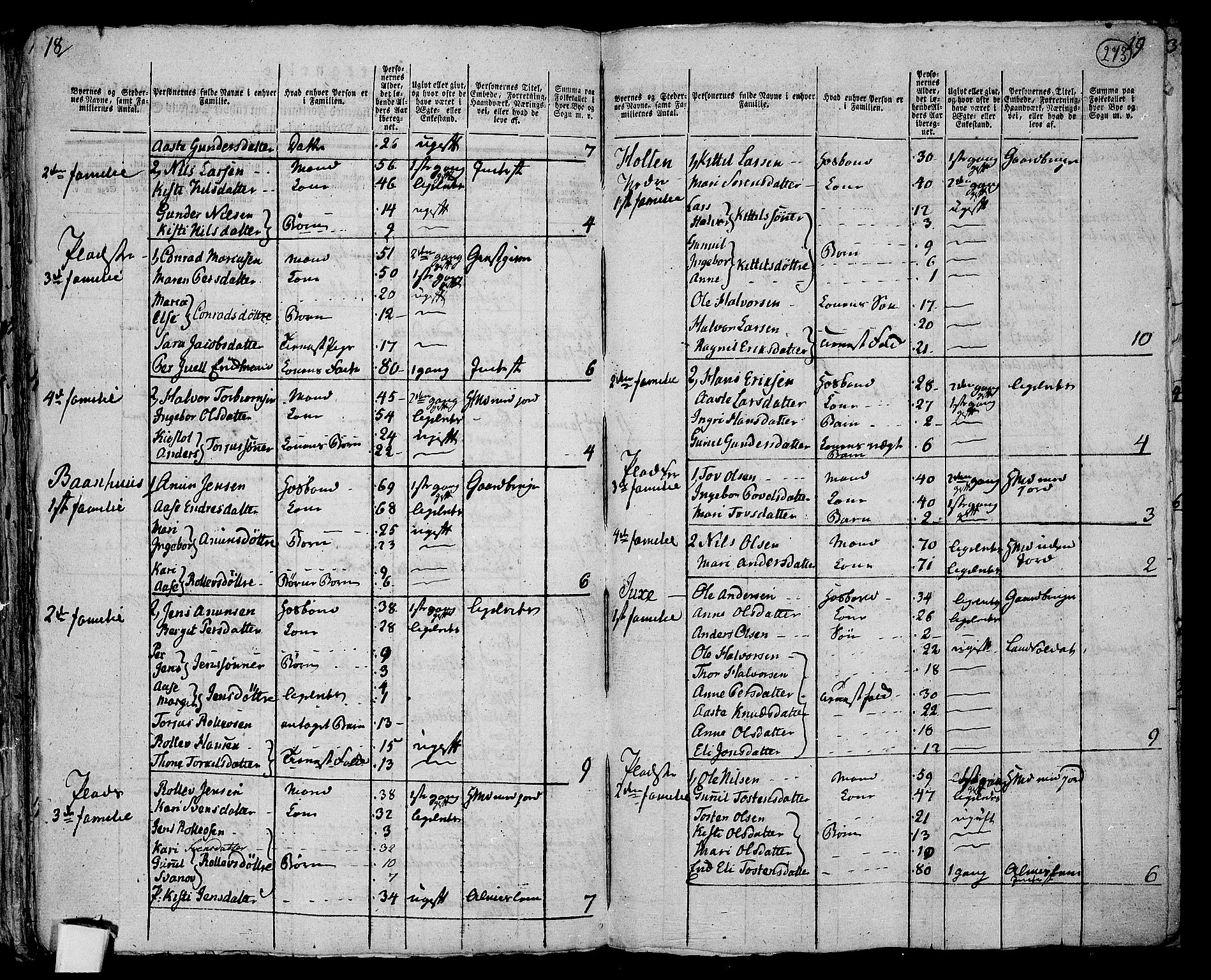 RA, 1801 census for 0822P Sauherad, 1801, p. 272b-273a
