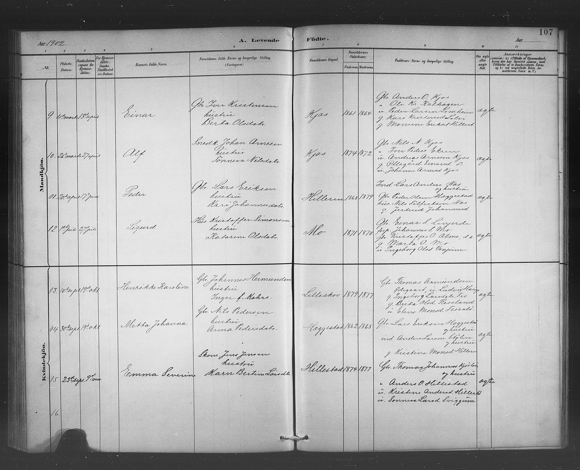 Hafslo sokneprestembete, AV/SAB-A-80301/H/Hab/Habb/L0001: Parish register (copy) no. B 1, 1882-1908, p. 107