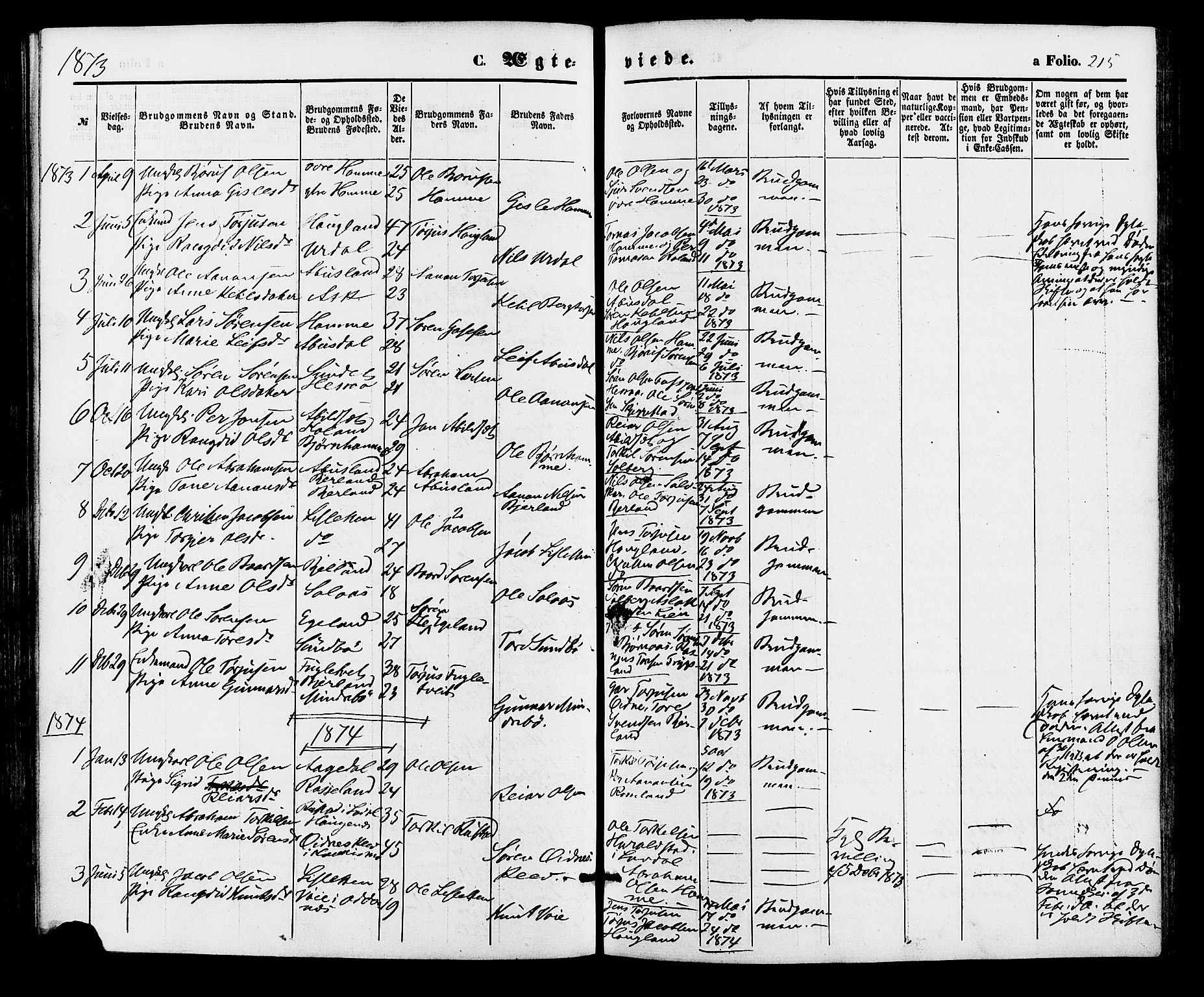 Bjelland sokneprestkontor, SAK/1111-0005/F/Fa/Faa/L0003: Parish register (official) no. A 3, 1867-1887, p. 215