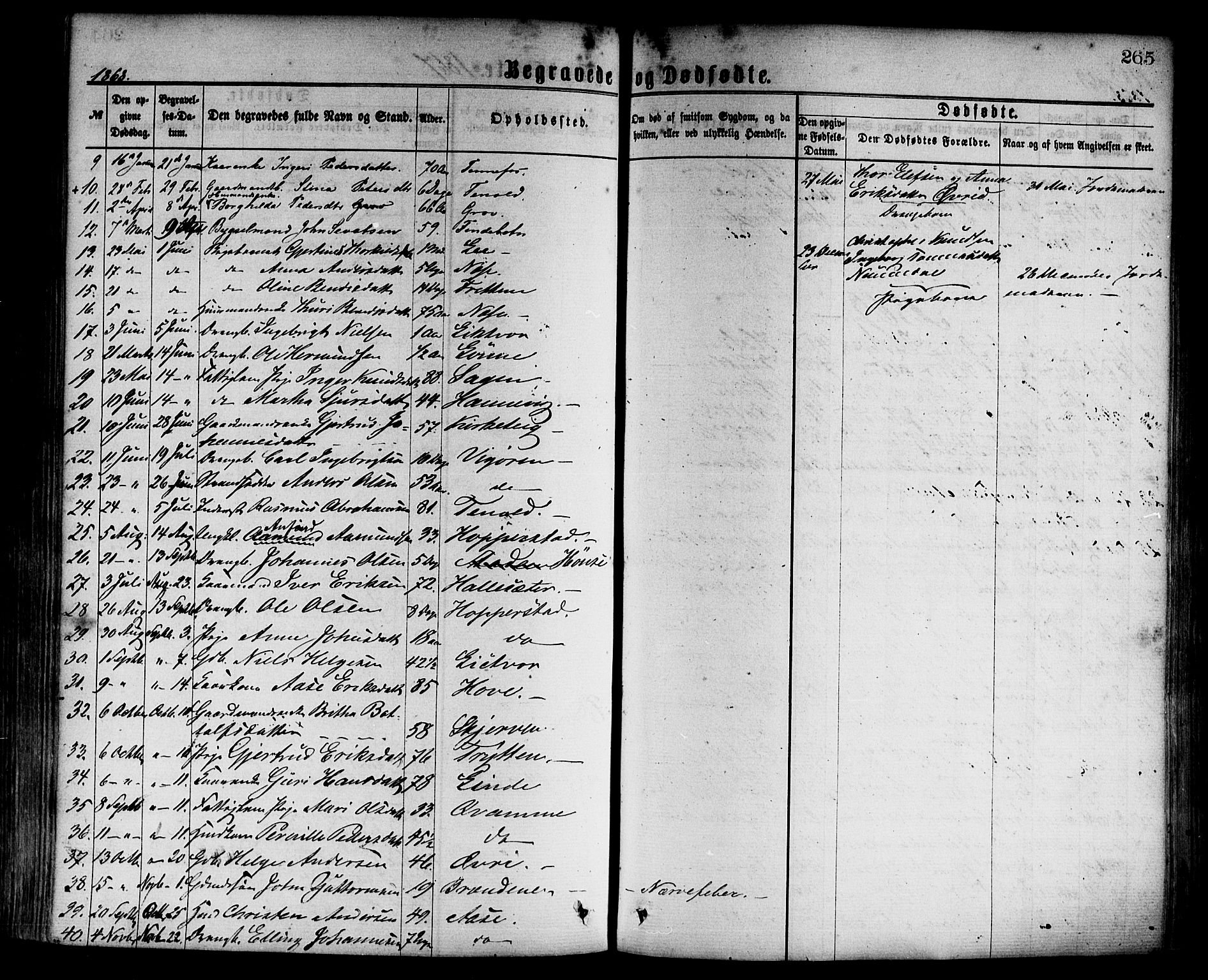 Vik sokneprestembete, AV/SAB-A-81501/H/Haa/Haaa/L0009: Parish register (official) no. A 9, 1866-1877, p. 265