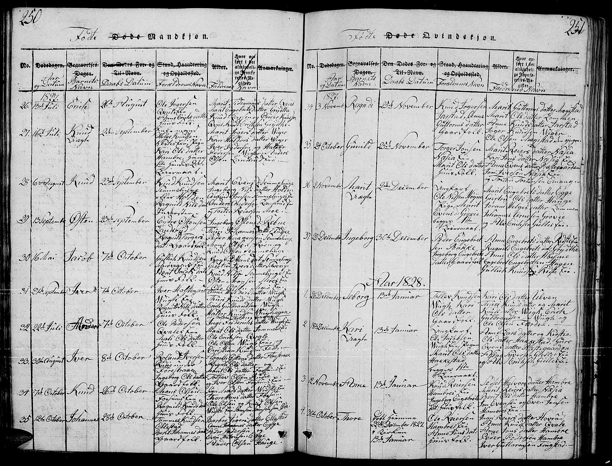 Slidre prestekontor, SAH/PREST-134/H/Ha/Hab/L0001: Parish register (copy) no. 1, 1814-1838, p. 250-251