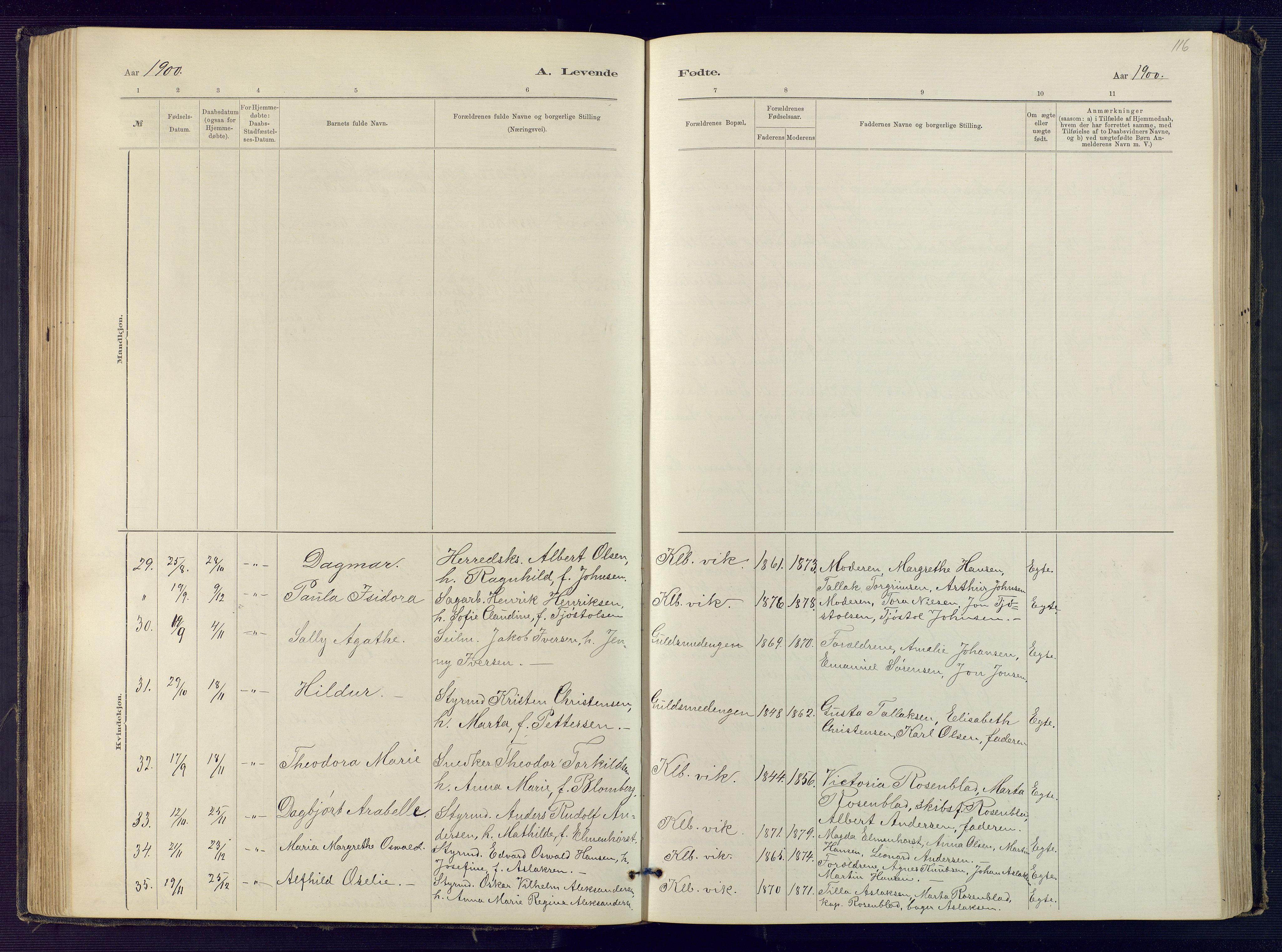 Hisøy sokneprestkontor, SAK/1111-0020/F/Fb/L0003: Parish register (copy) no. B 3, 1885-1905, p. 116