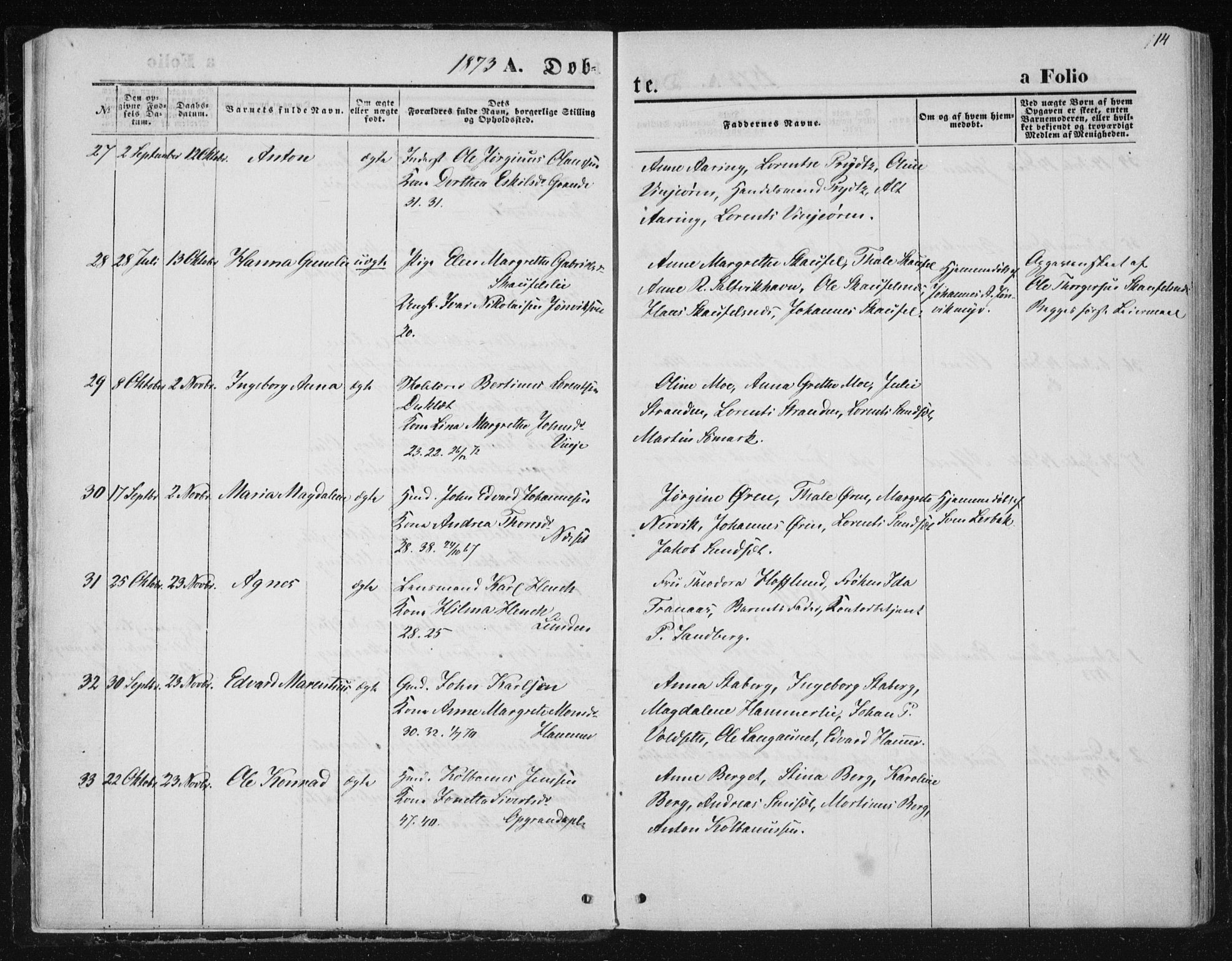 Ministerialprotokoller, klokkerbøker og fødselsregistre - Nord-Trøndelag, AV/SAT-A-1458/733/L0324: Parish register (official) no. 733A03, 1870-1883, p. 14