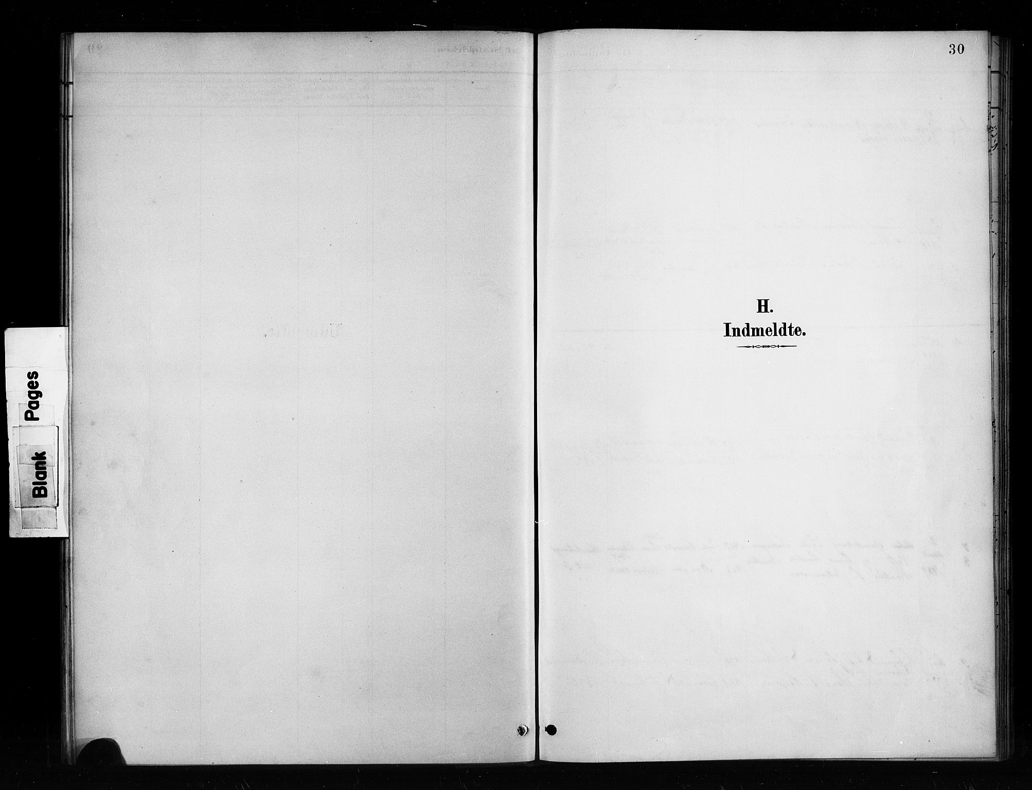 Nykirken Sokneprestembete, SAB/A-77101/H/Haa/L0053: Parish register (official) no. H 2, 1887-1897, p. 30