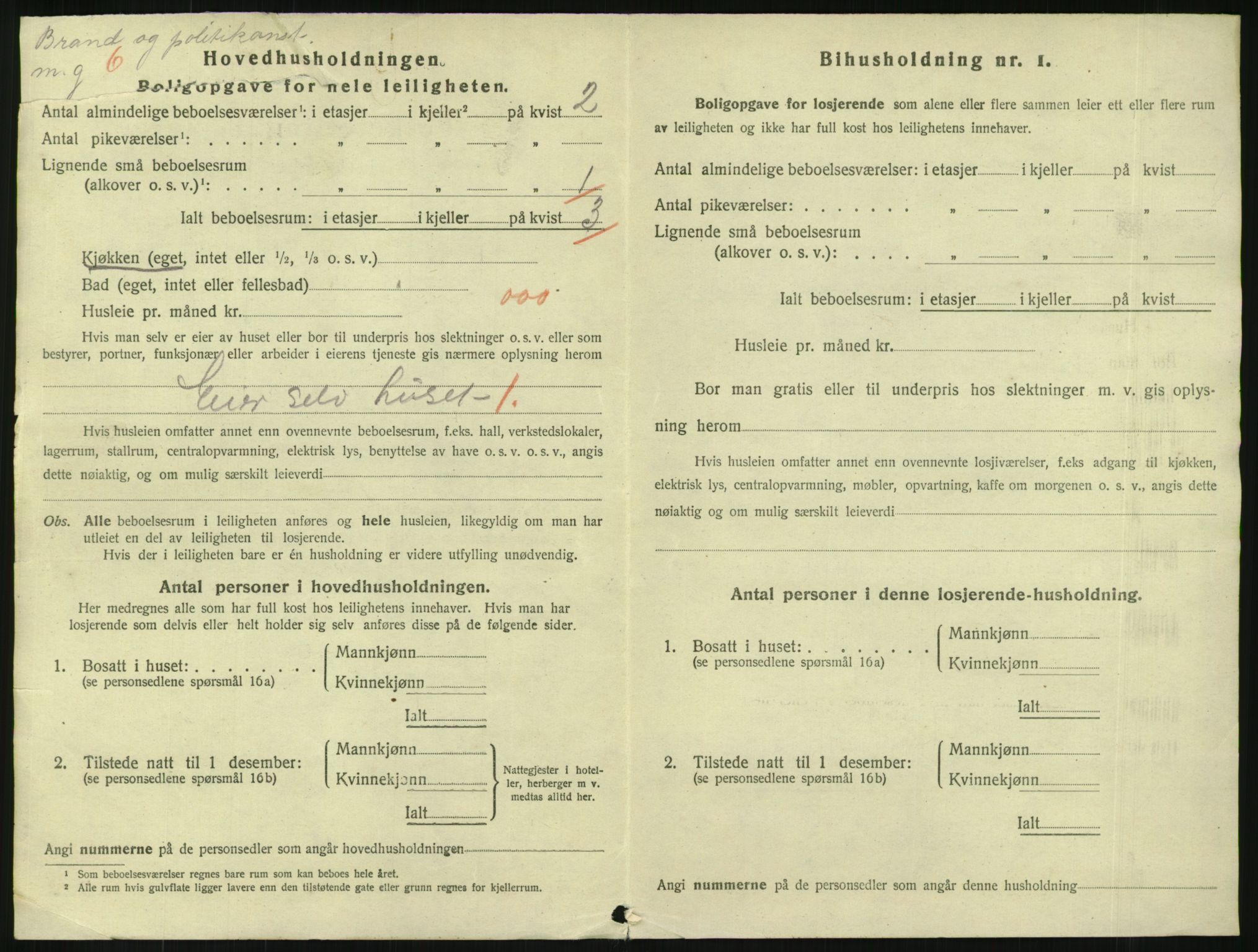 SAKO, 1920 census for Horten, 1920, p. 4116