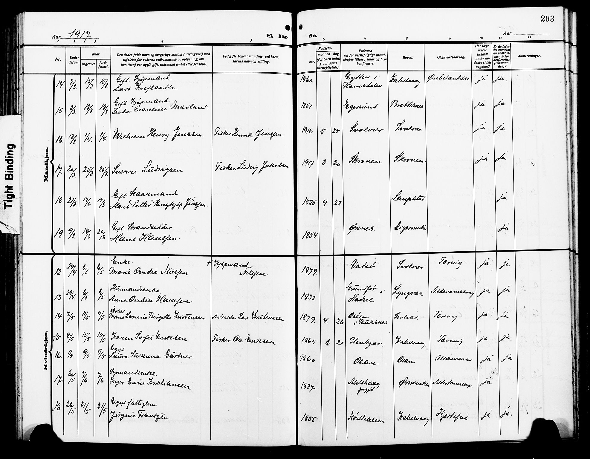 Ministerialprotokoller, klokkerbøker og fødselsregistre - Nordland, AV/SAT-A-1459/874/L1080: Parish register (copy) no. 874C09, 1915-1925, p. 293