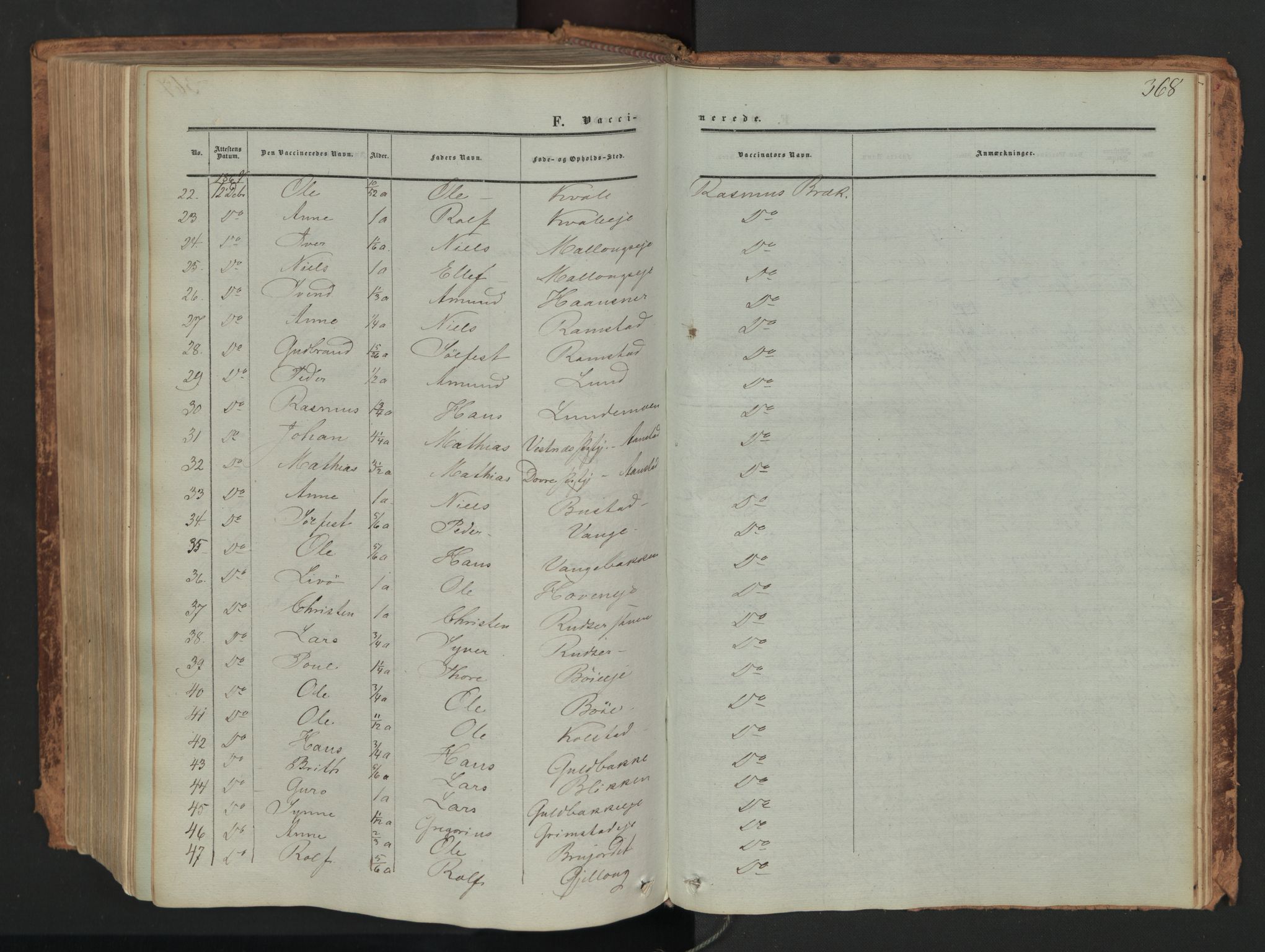 Skjåk prestekontor, SAH/PREST-072/H/Ha/Haa/L0001: Parish register (official) no. 1, 1863-1879, p. 368