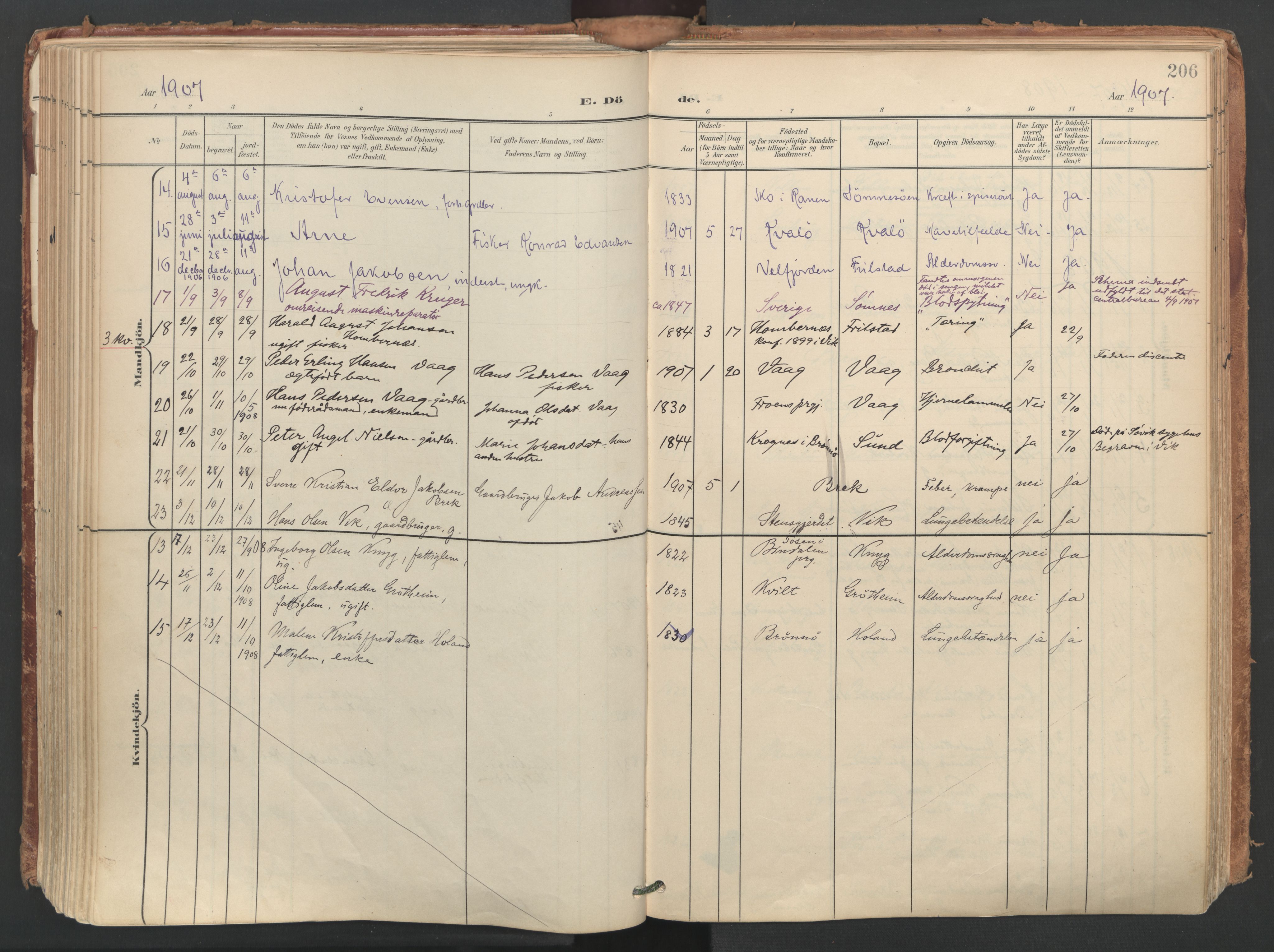 Ministerialprotokoller, klokkerbøker og fødselsregistre - Nordland, AV/SAT-A-1459/812/L0180: Parish register (official) no. 812A09, 1901-1915, p. 206