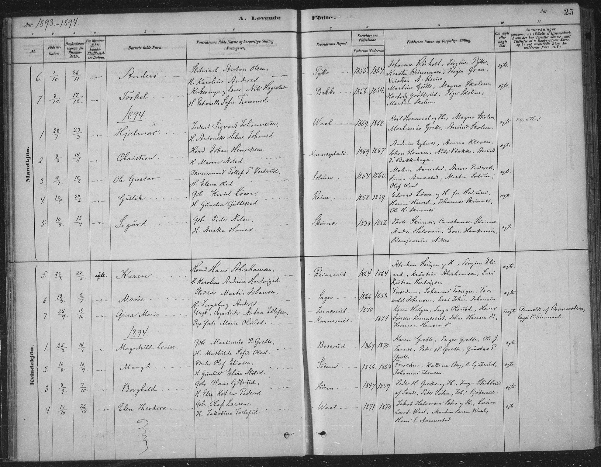 Sandsvær kirkebøker, AV/SAKO-A-244/F/Fe/L0001: Parish register (official) no. V 1, 1878-1936, p. 25