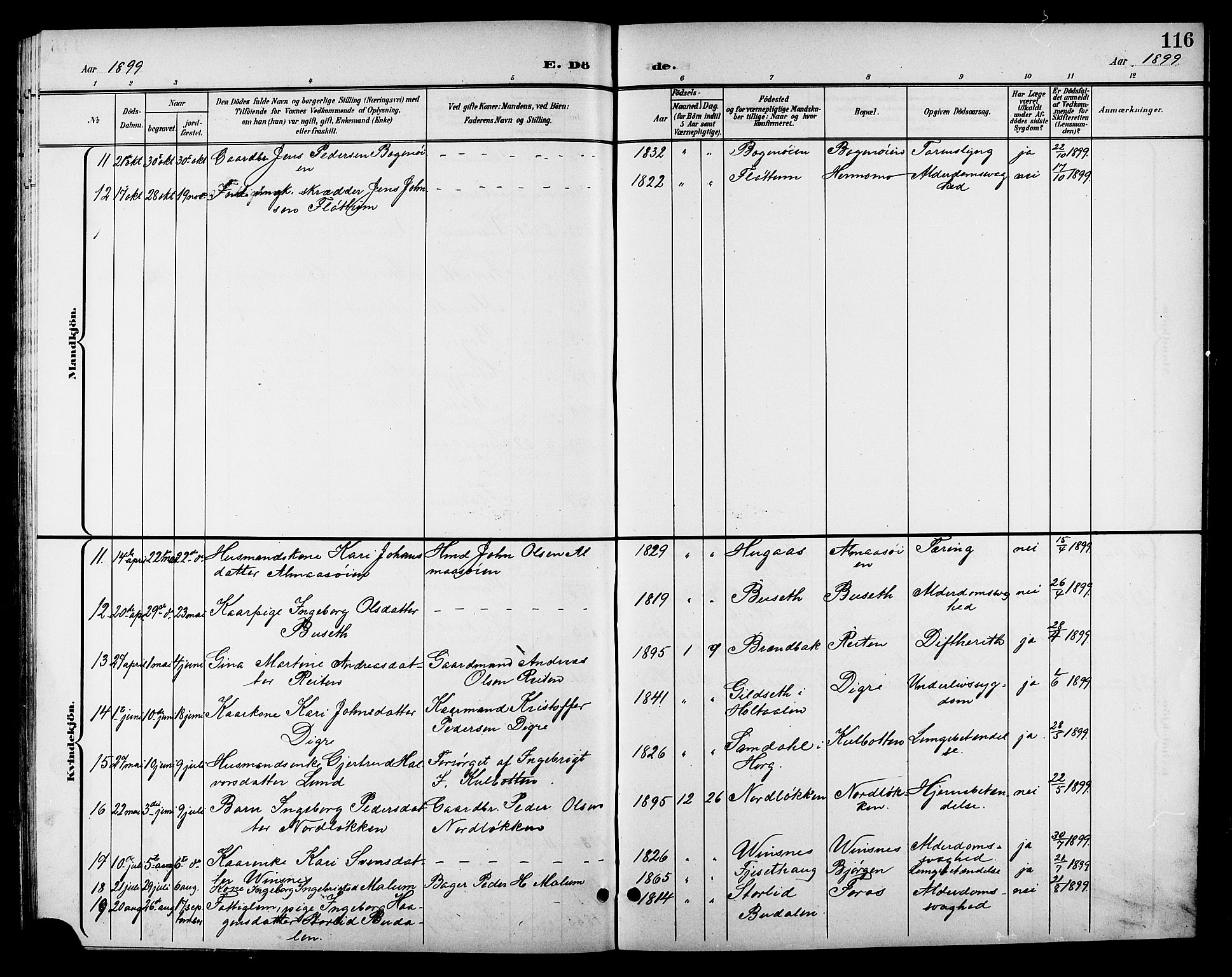Ministerialprotokoller, klokkerbøker og fødselsregistre - Sør-Trøndelag, SAT/A-1456/688/L1029: Parish register (copy) no. 688C04, 1899-1915, p. 116