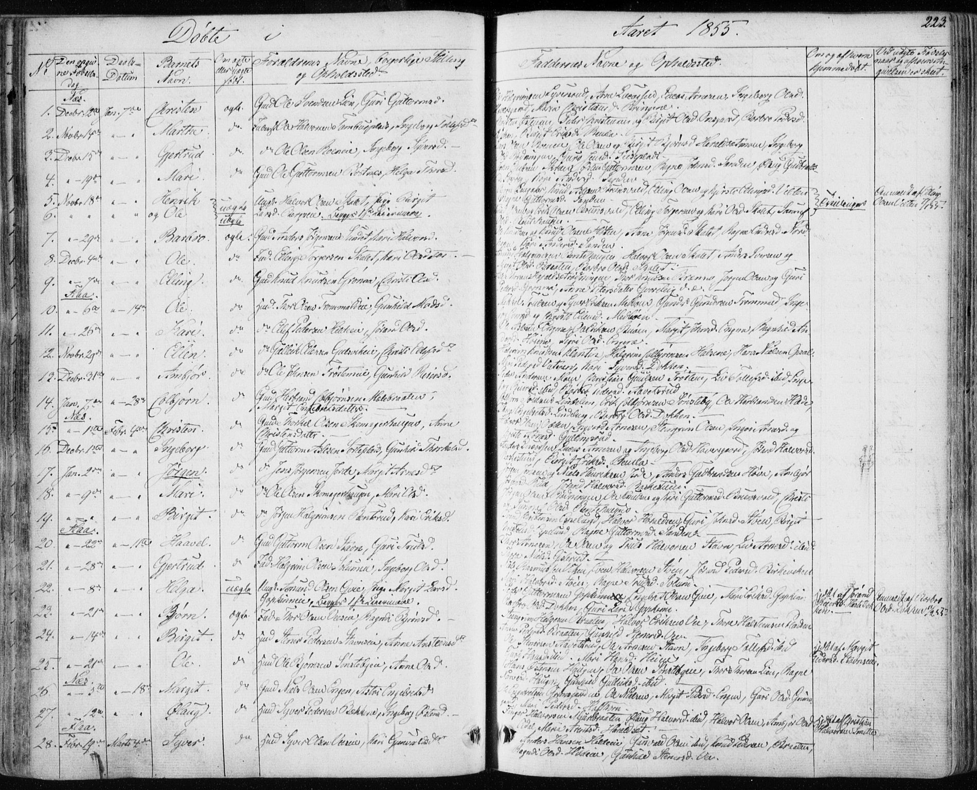 Nes kirkebøker, SAKO/A-236/F/Fa/L0009: Parish register (official) no. 9, 1834-1863, p. 223