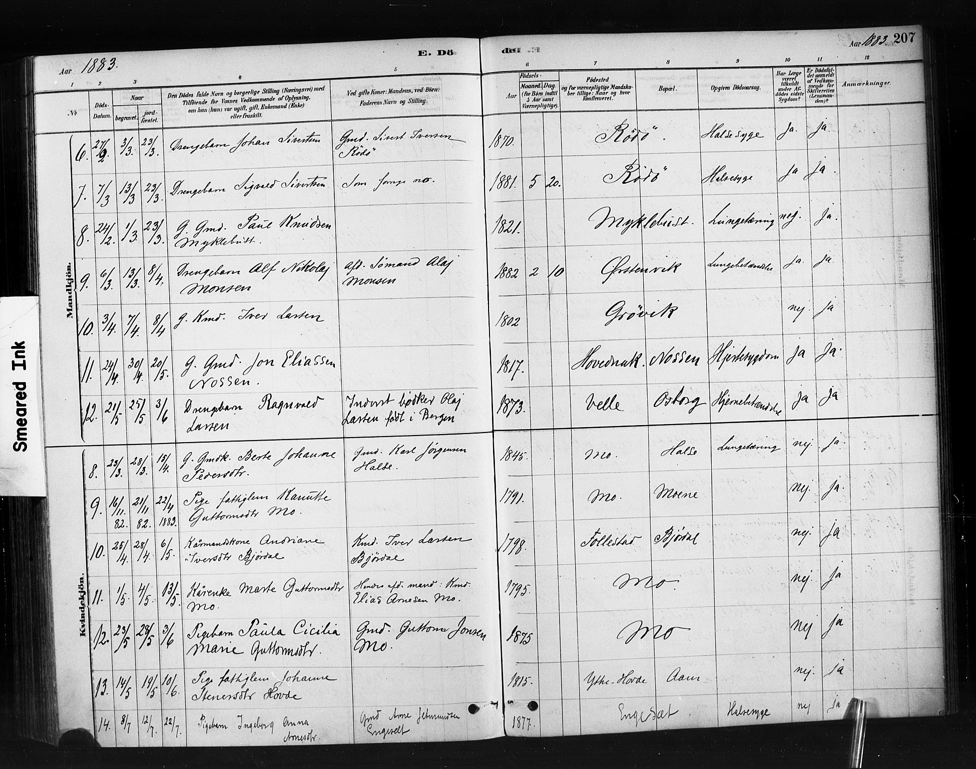 Ministerialprotokoller, klokkerbøker og fødselsregistre - Møre og Romsdal, AV/SAT-A-1454/513/L0176: Parish register (official) no. 513A03, 1877-1889, p. 207