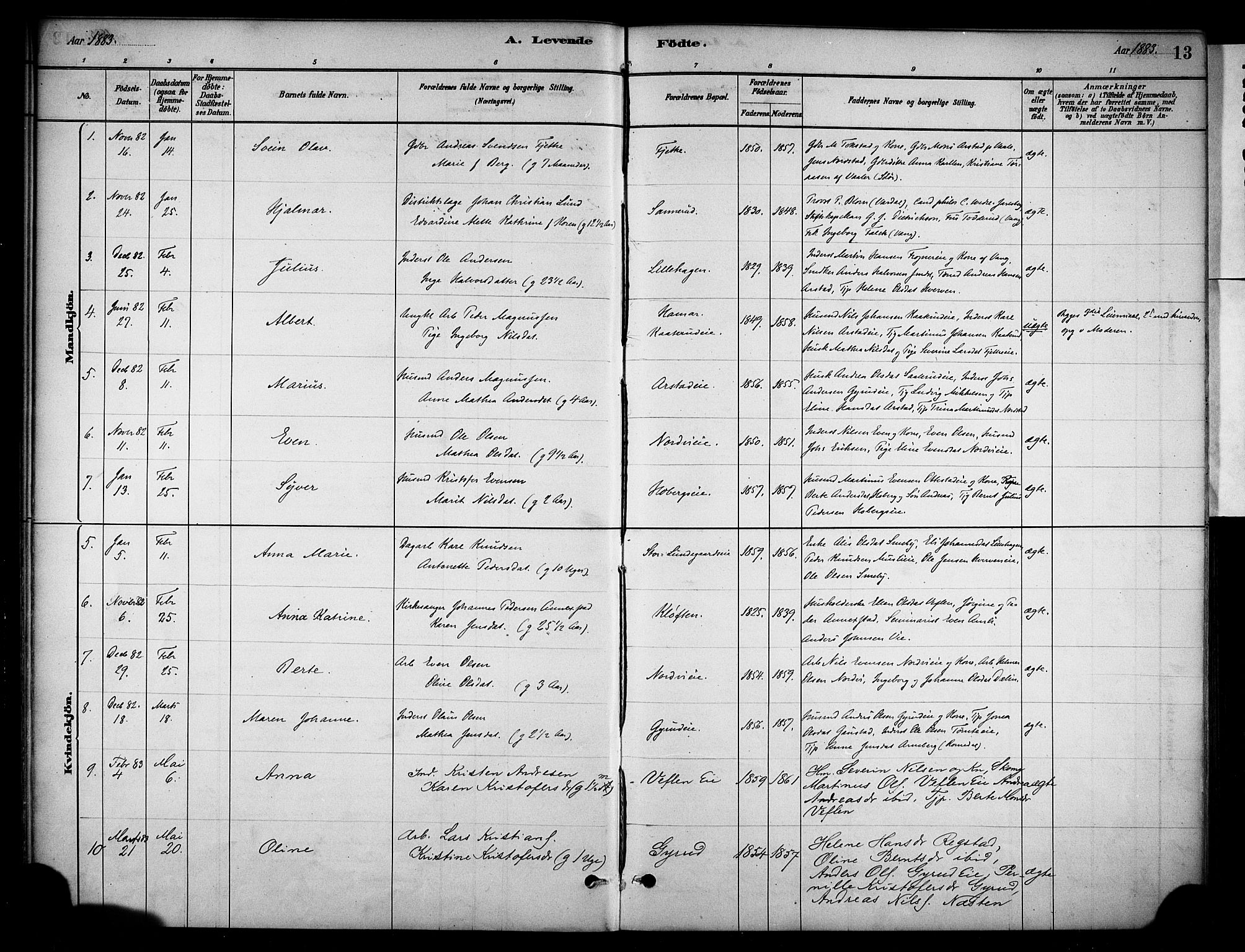 Stange prestekontor, SAH/PREST-002/K/L0019: Parish register (official) no. 19, 1880-1891, p. 13