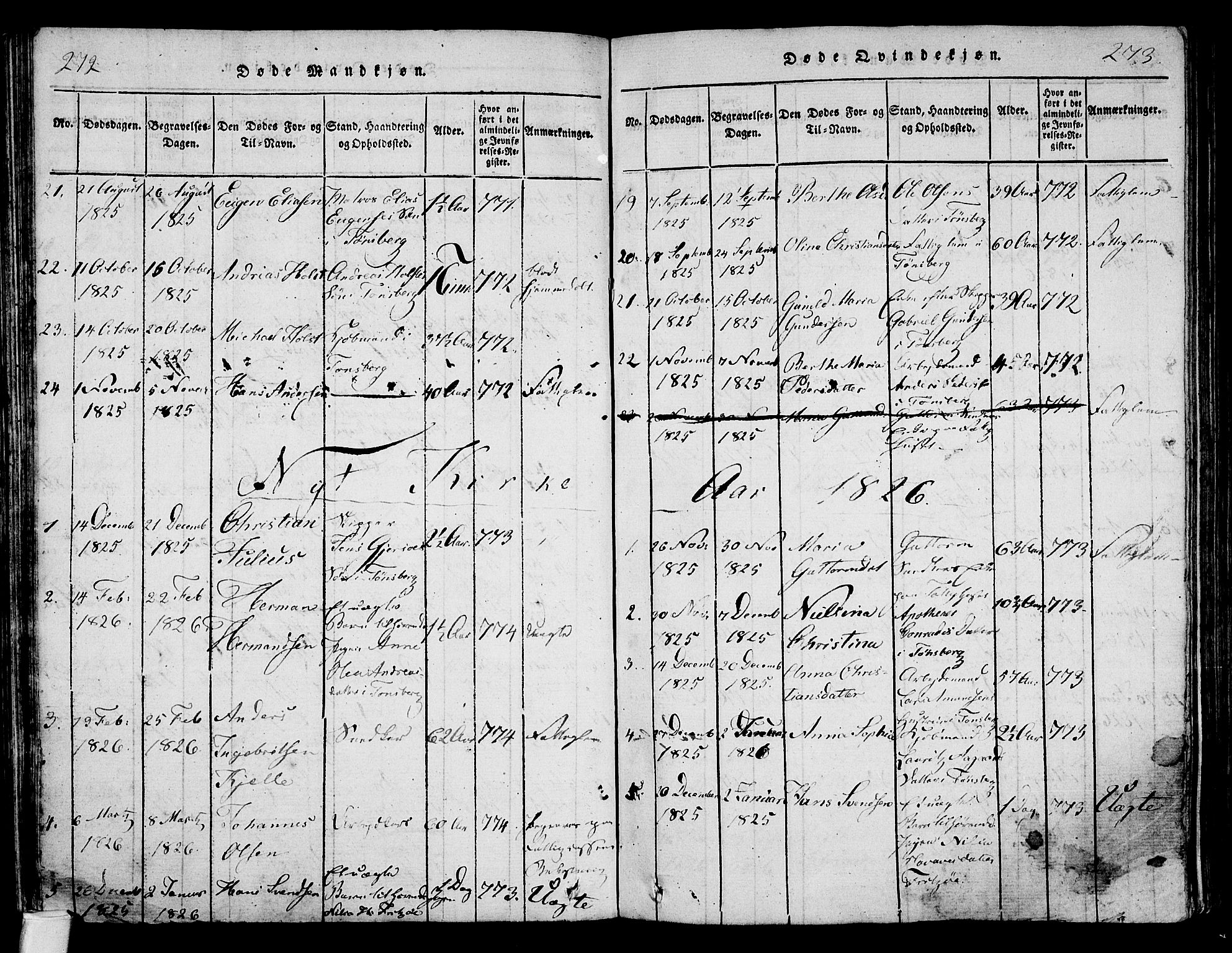 Tønsberg kirkebøker, AV/SAKO-A-330/F/Fa/L0004: Parish register (official) no. I 4, 1813-1826, p. 272-273