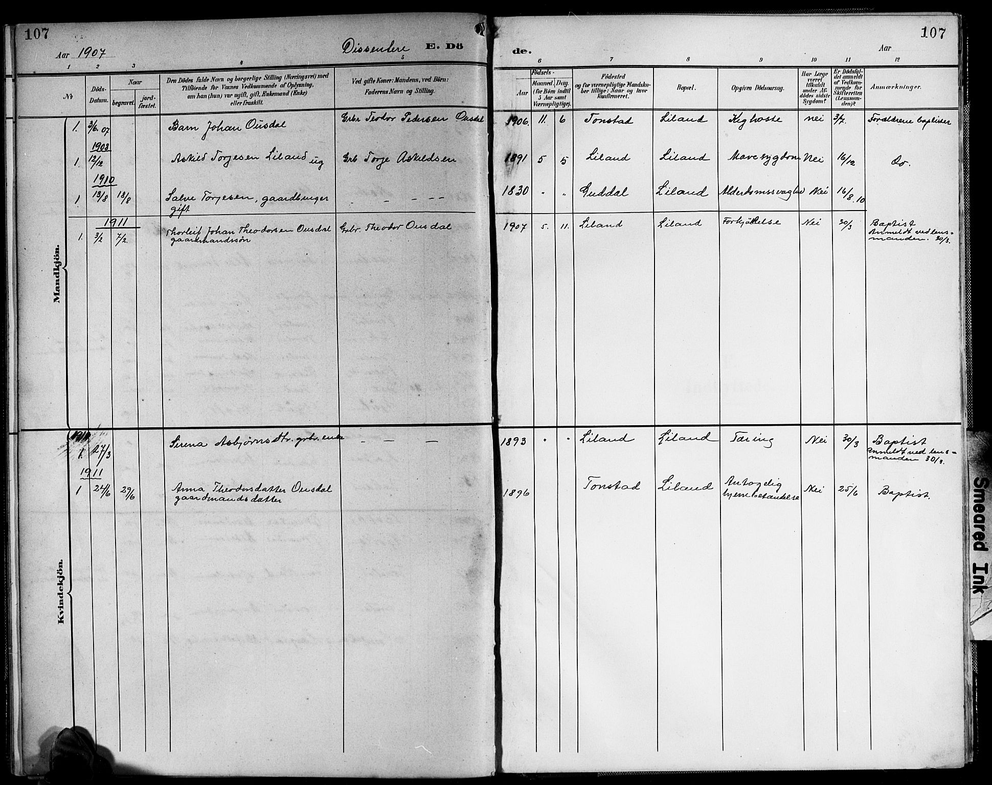 Sirdal sokneprestkontor, SAK/1111-0036/F/Fb/Fbb/L0004: Parish register (copy) no. B 4, 1895-1916, p. 107