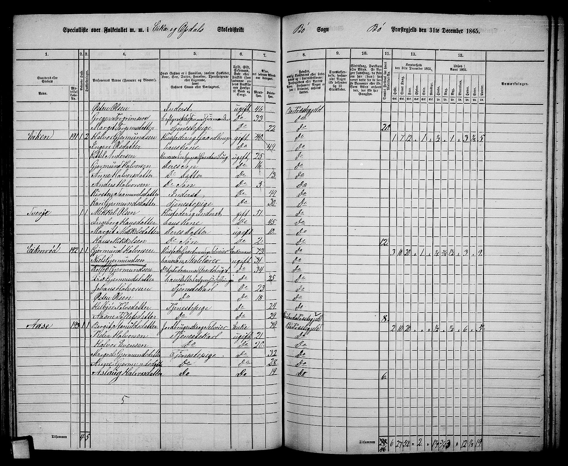 RA, 1865 census for Bø, 1865, p. 117