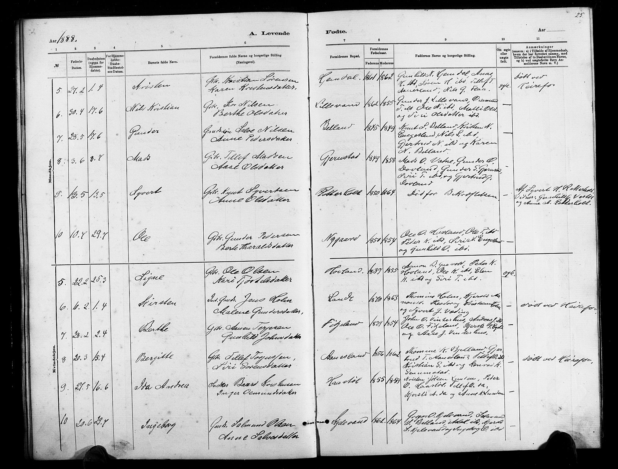 Herefoss sokneprestkontor, AV/SAK-1111-0019/F/Fb/Fbb/L0002: Parish register (copy) no. B 2, 1879-1894, p. 25
