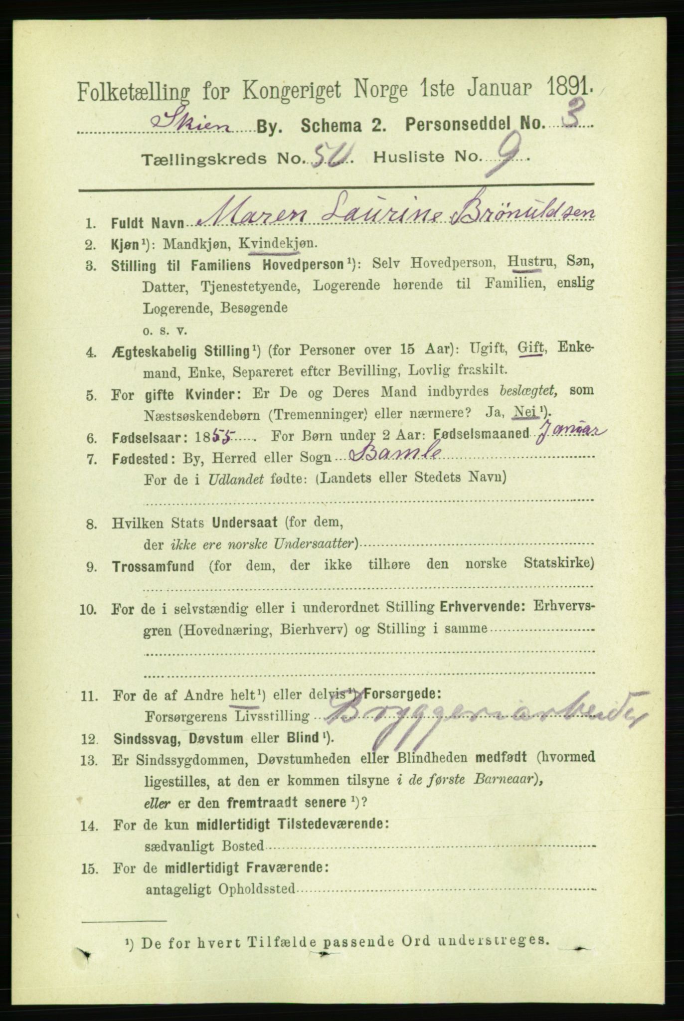 RA, 1891 census for 0806 Skien, 1891, p. 10831