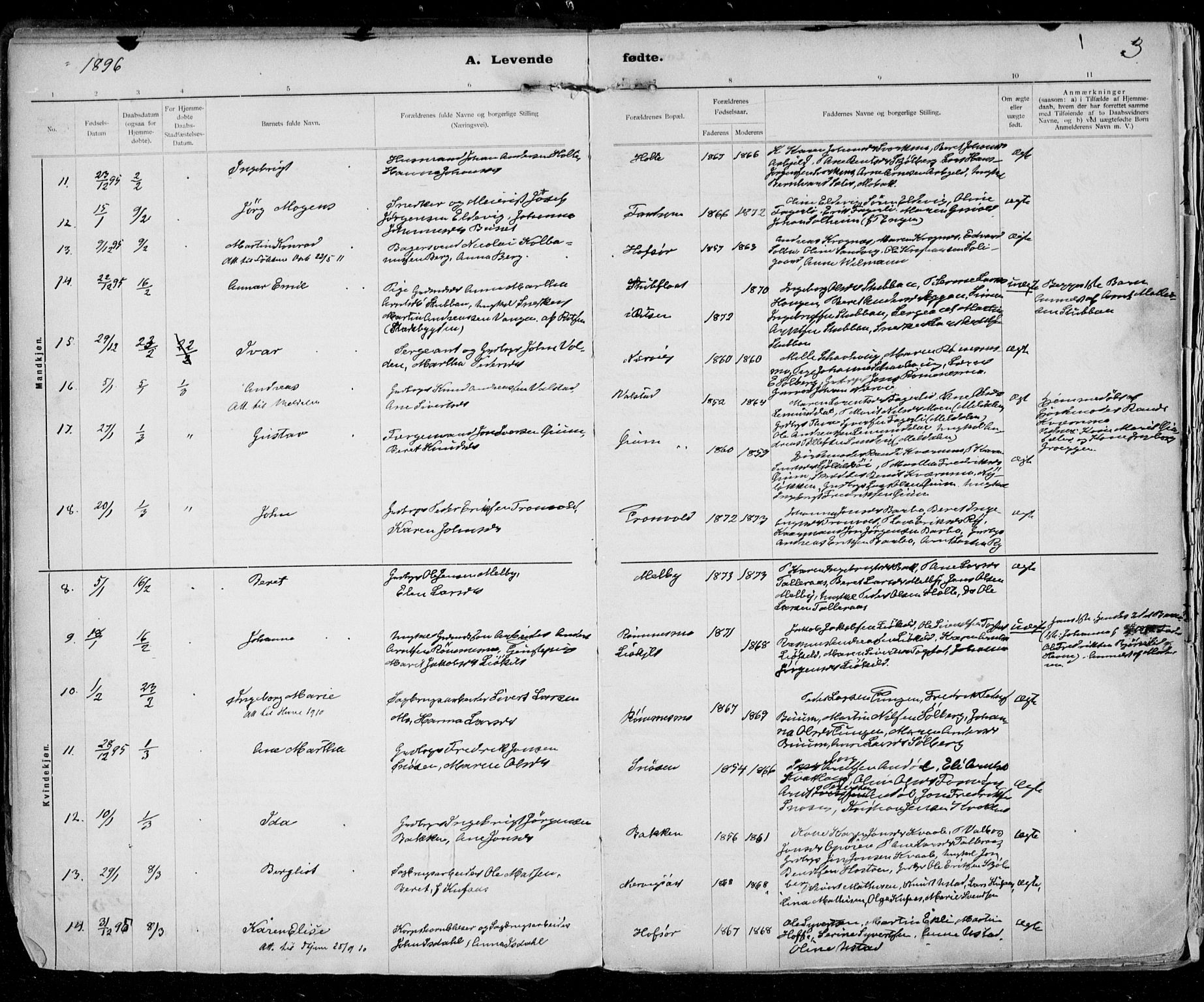 Ministerialprotokoller, klokkerbøker og fødselsregistre - Sør-Trøndelag, SAT/A-1456/668/L0811: Parish register (official) no. 668A11, 1894-1913, p. 3