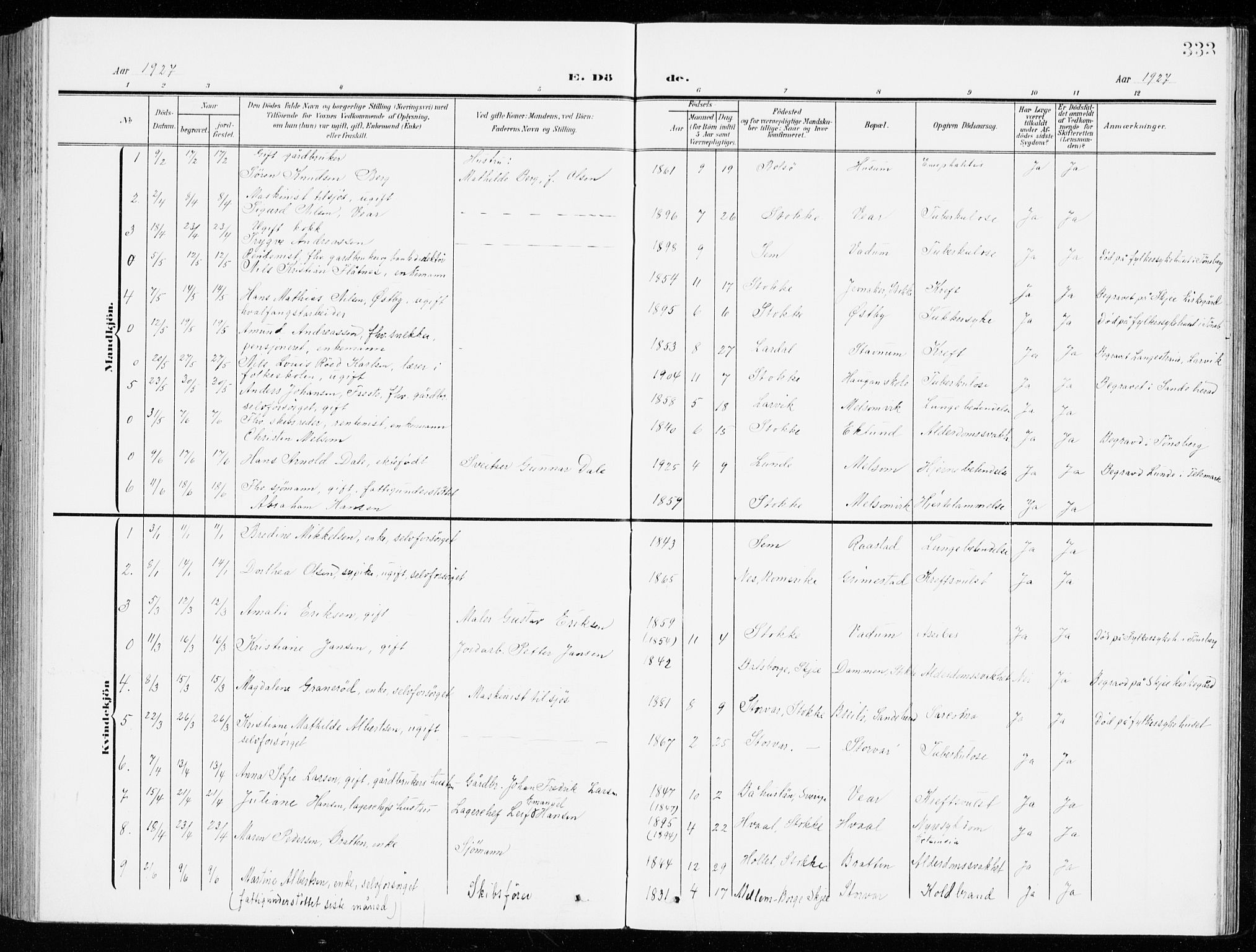 Stokke kirkebøker, SAKO/A-320/G/Ga/L0001: Parish register (copy) no. I 1, 1904-1940, p. 333